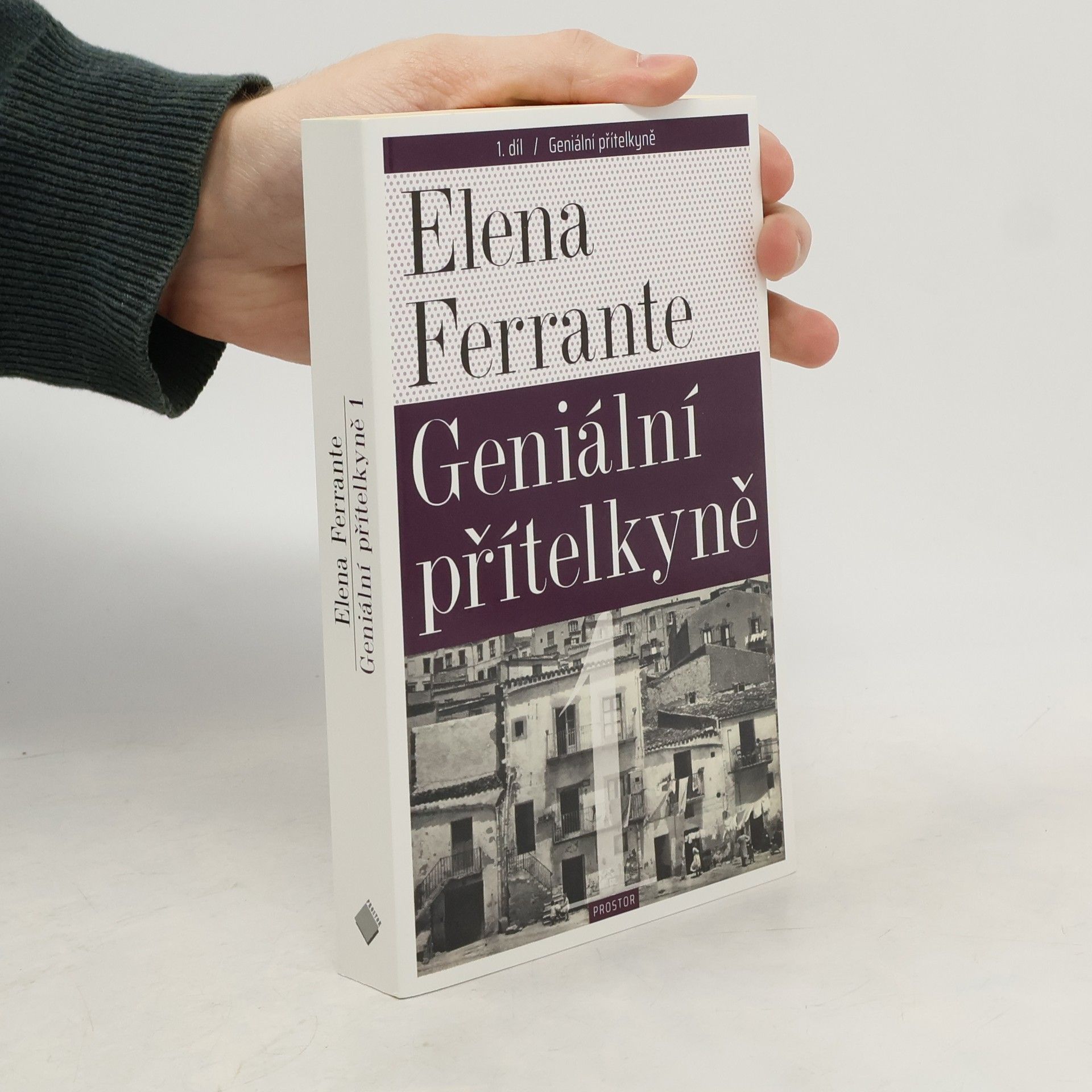 Geniální přítelkyně 1. Dětství a dospívání