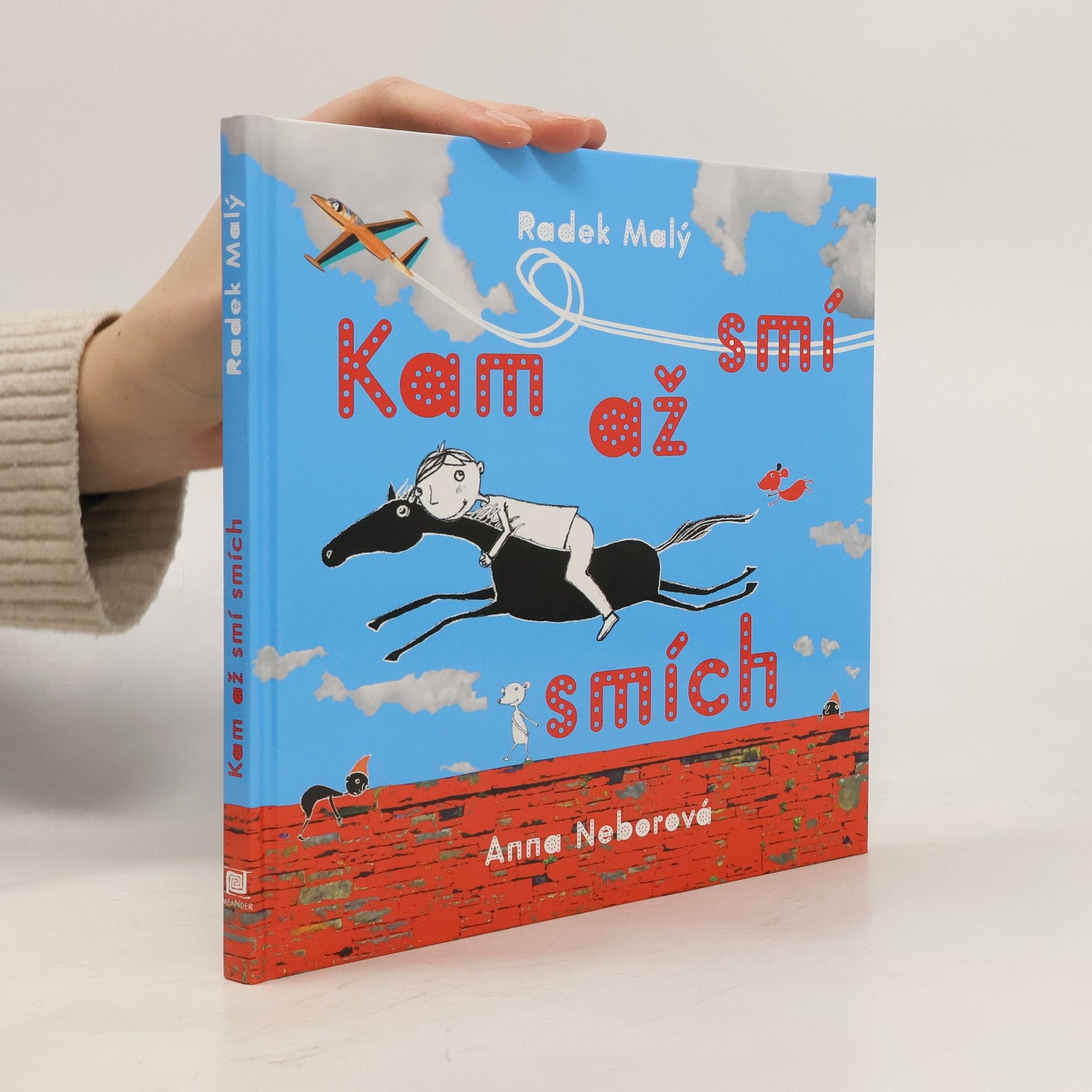 Radek Malý Kam až smí smích