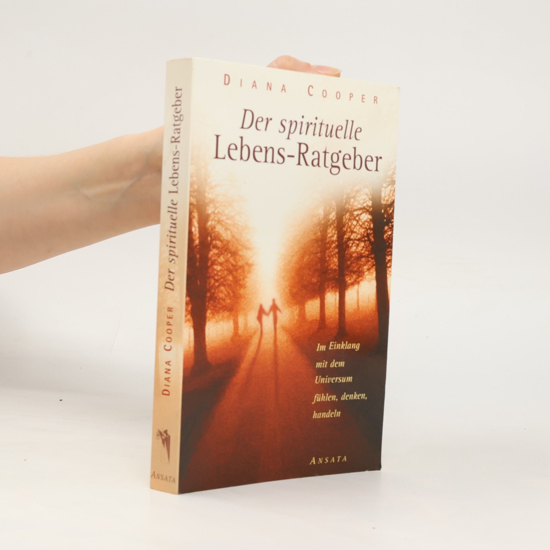 Diana Cooper Der spirituelle Lebens-Ratgeber
