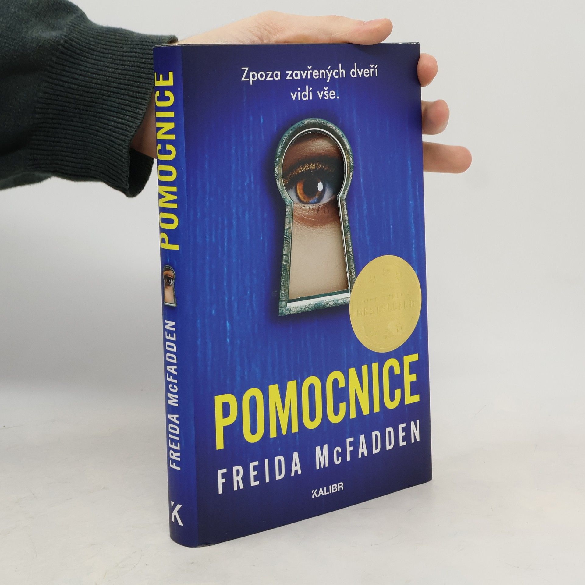 Freida McFadden Pomocnice