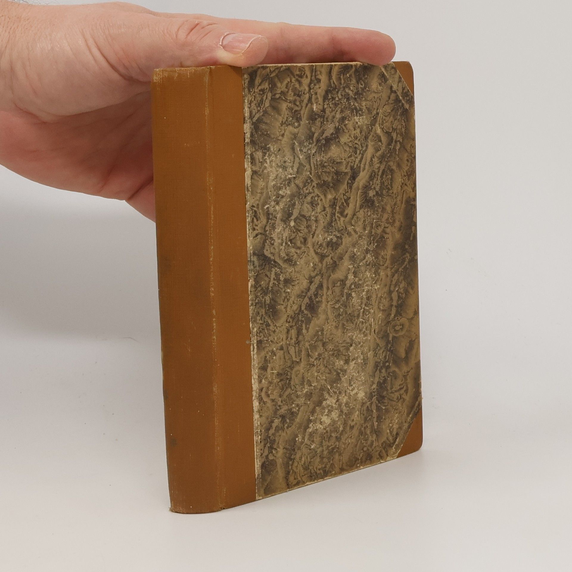 Alexandre Dumas Paměti lékařovy. Hraběnka de Charny VI.