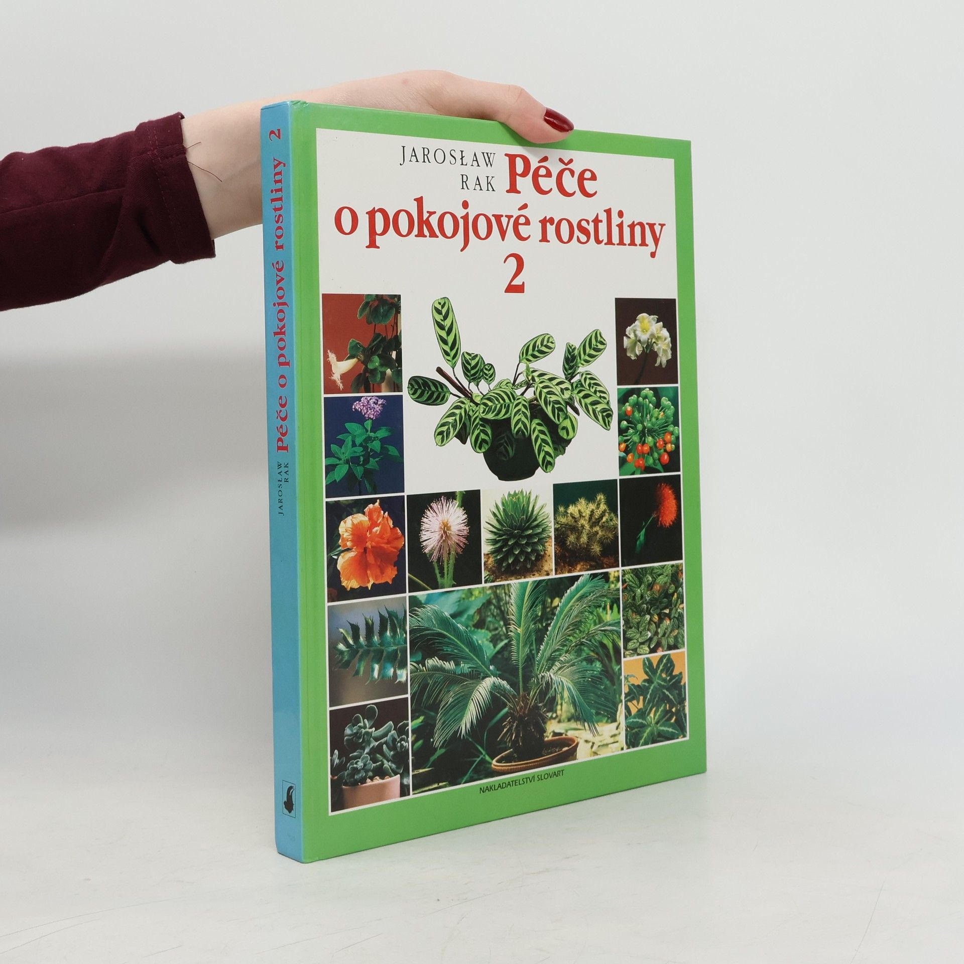 Jarosław Rak Péče o pokojové rostliny 2