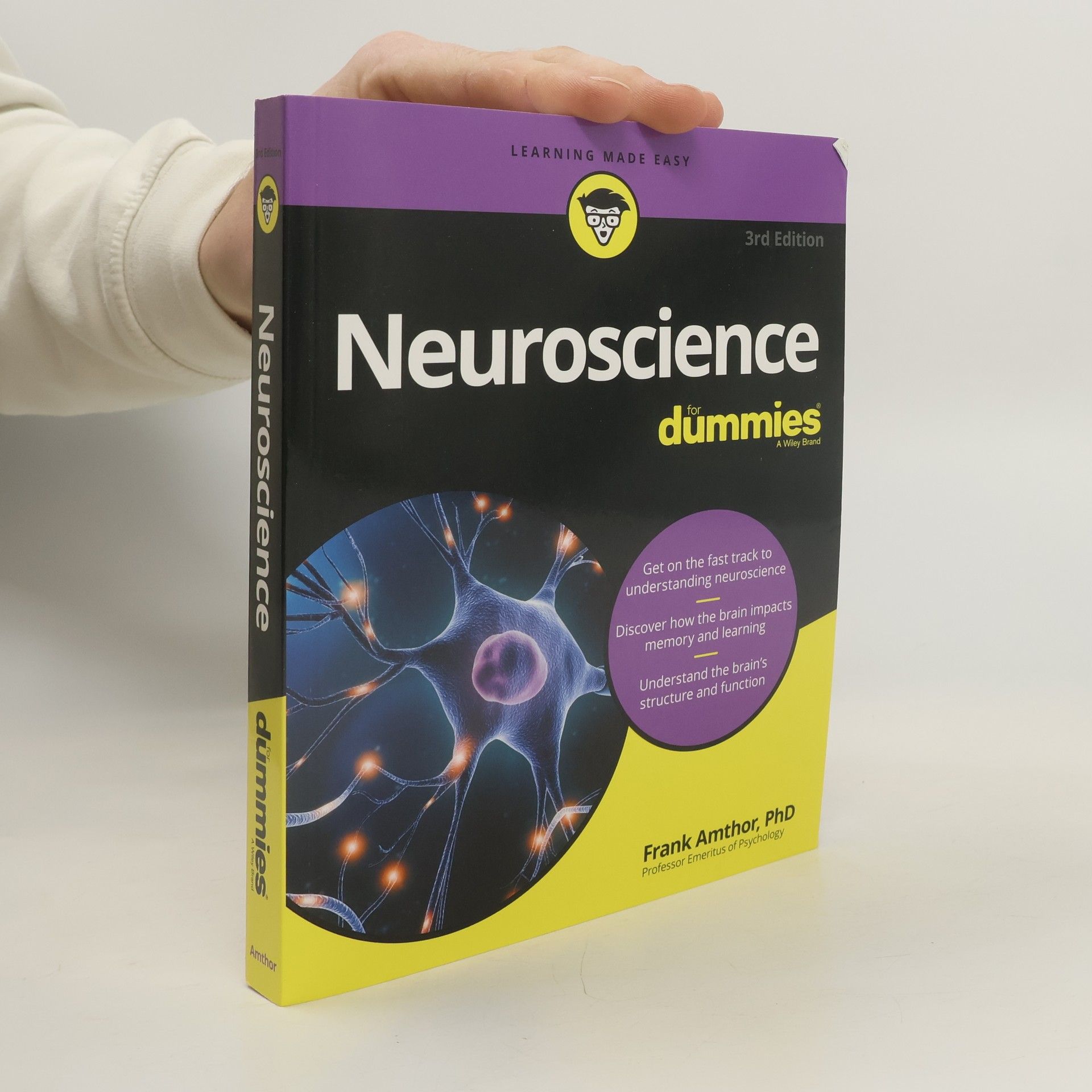 Frank Amthor Neuroscience For Dummies