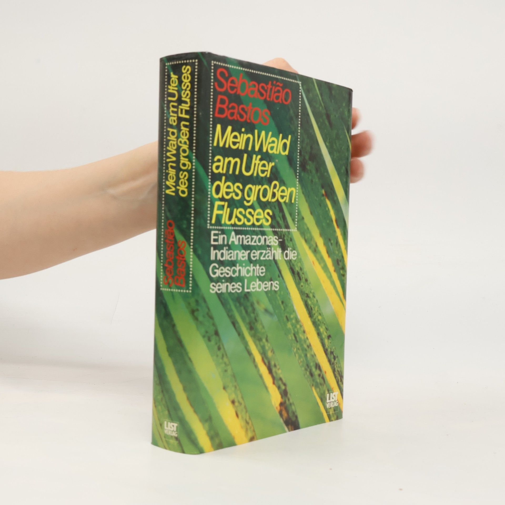 Sebastião Bastos Mein Wald am Ufer des großen Flusses