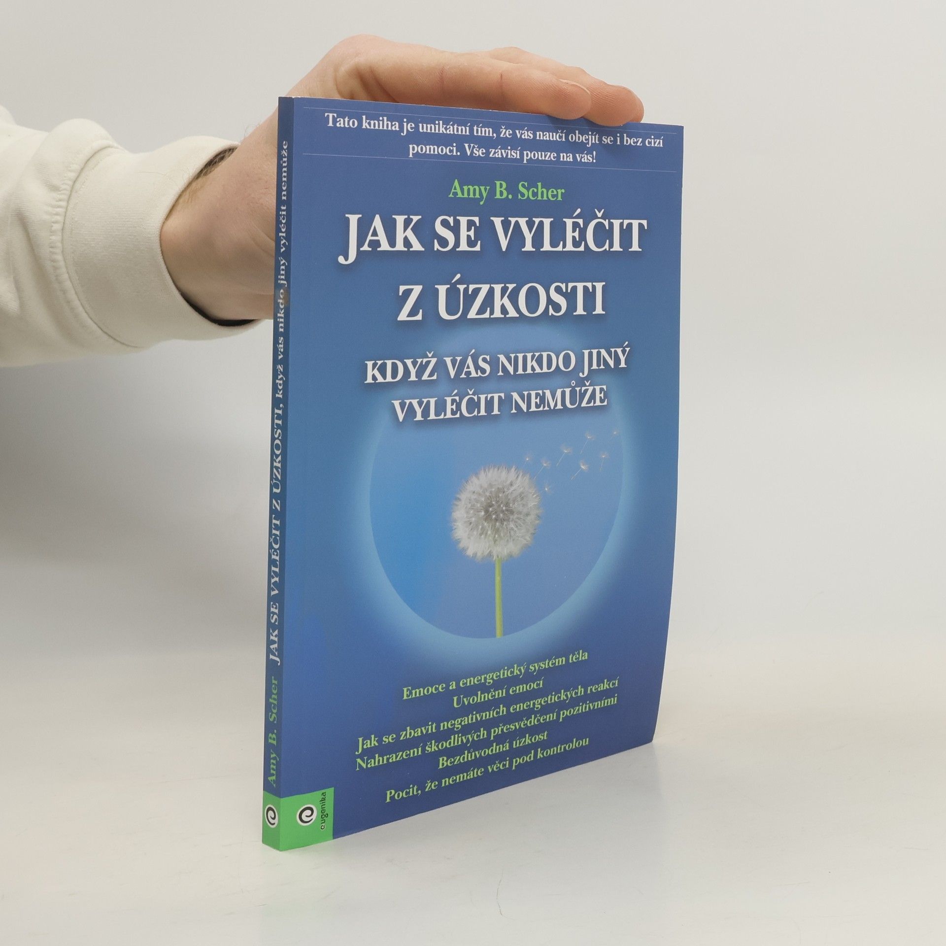 Amy B. Scher Jak se vyléčit z úzkosti, když vás nikdo jiný vyléčit nemůže