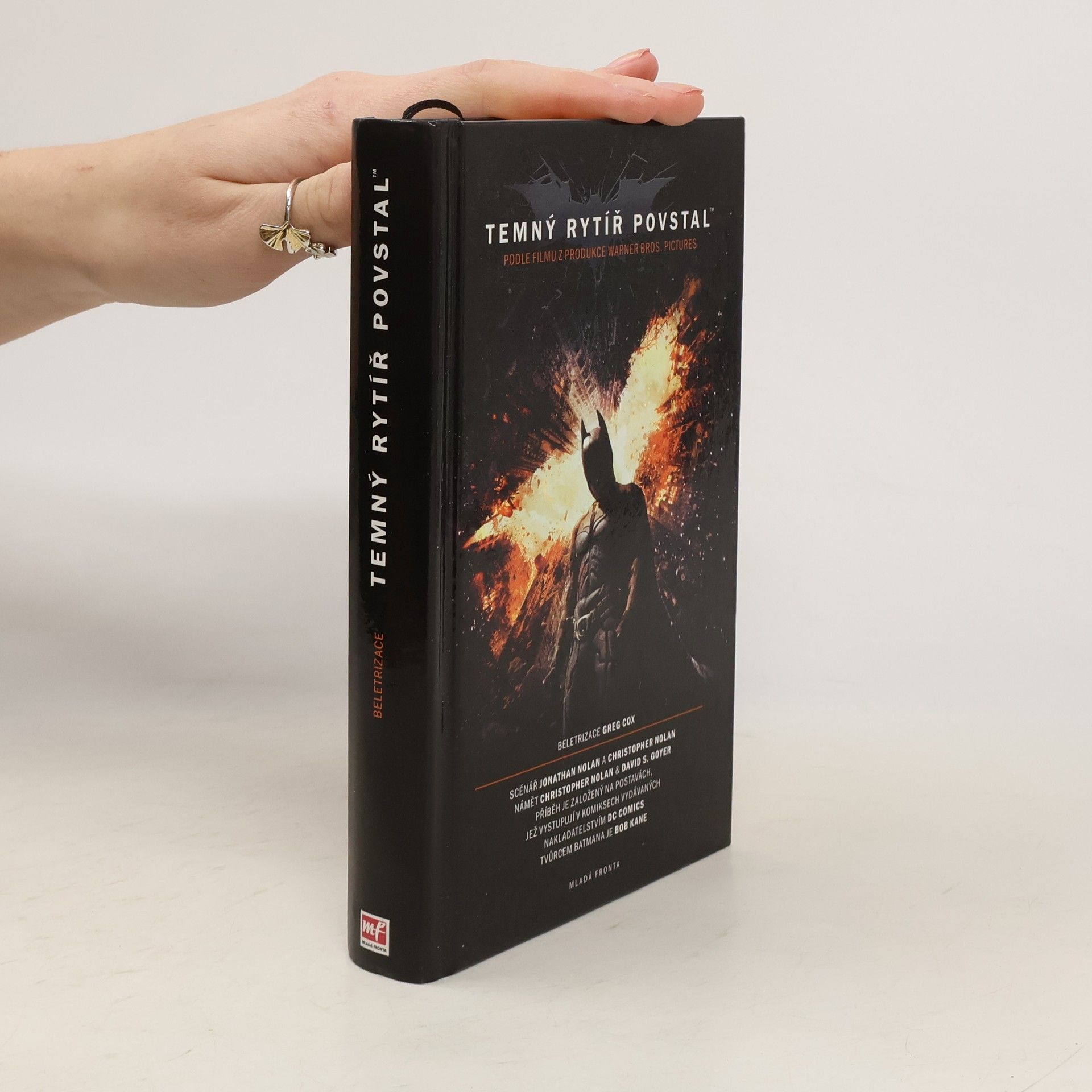 David S. Goyer Temný rytíř povstal: Oficiální beletrizace filmu