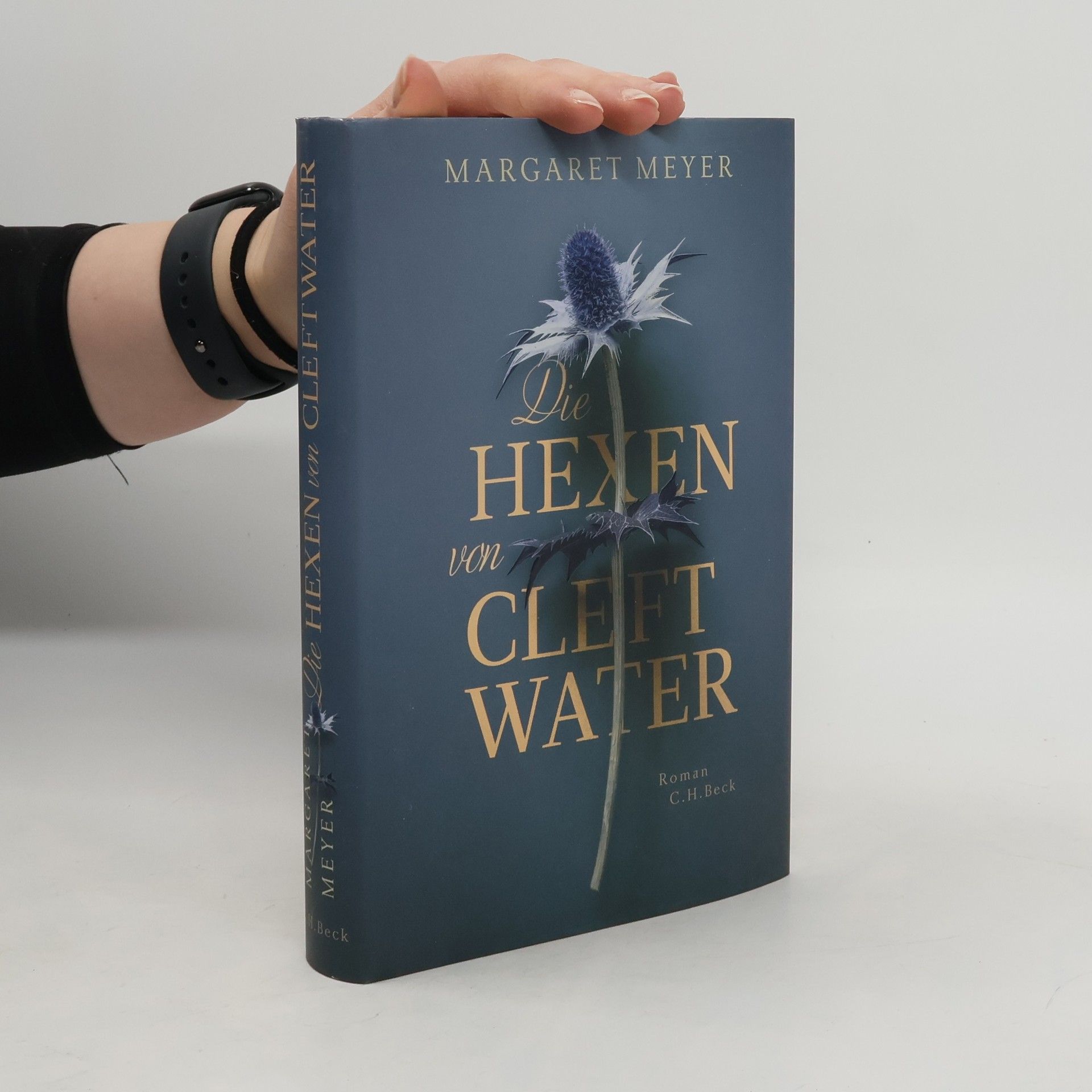 Margaret Meyer Die Hexen von Cleftwater