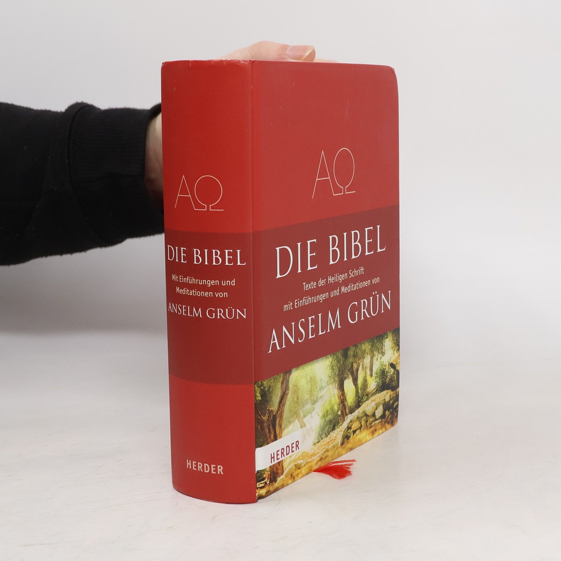 Anselm Grün Die Bibel