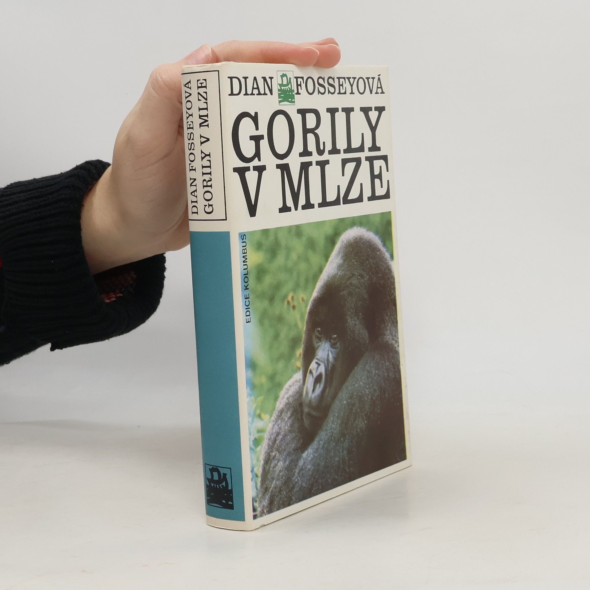 Dian Fossey Gorily v mlze