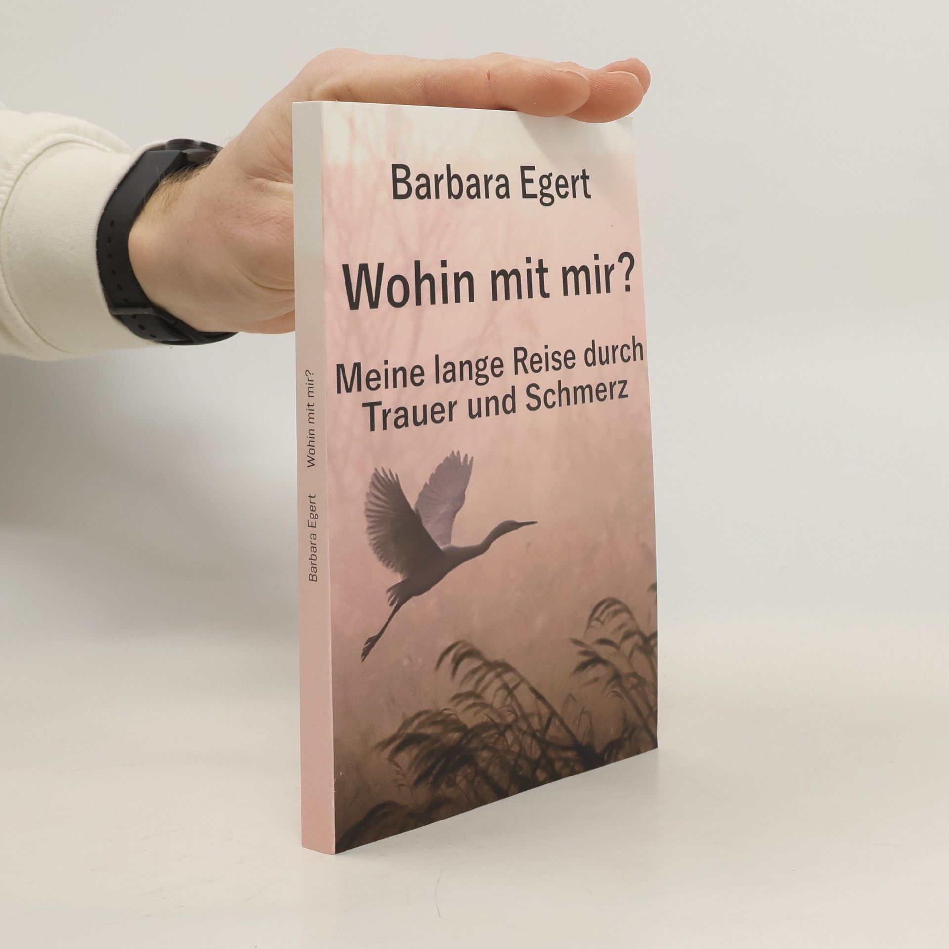 Barbara Egert Wohin mit mir? Meine lange Reise durch Trauer und Schmerz