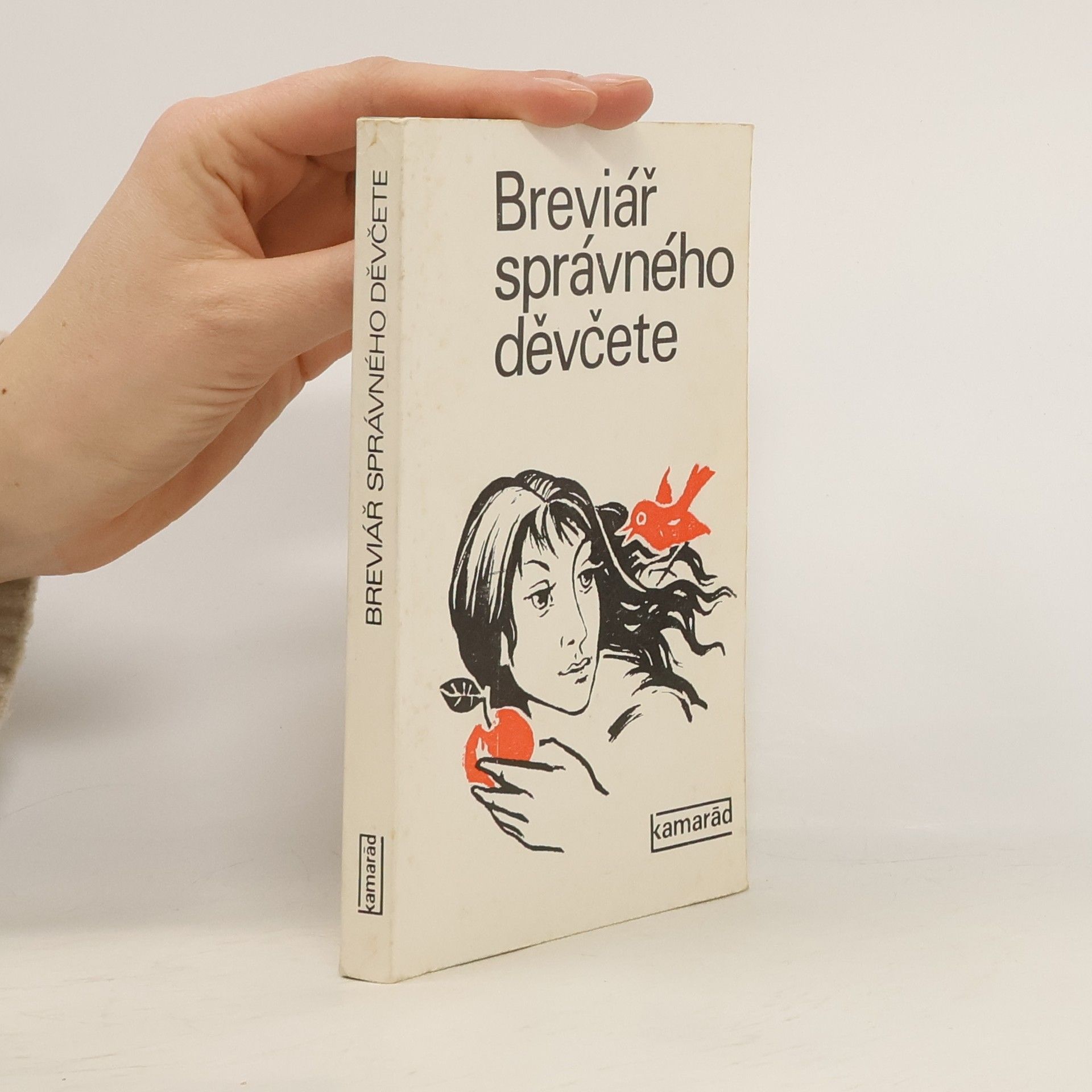 Dita Hajná Breviář správného děvčete