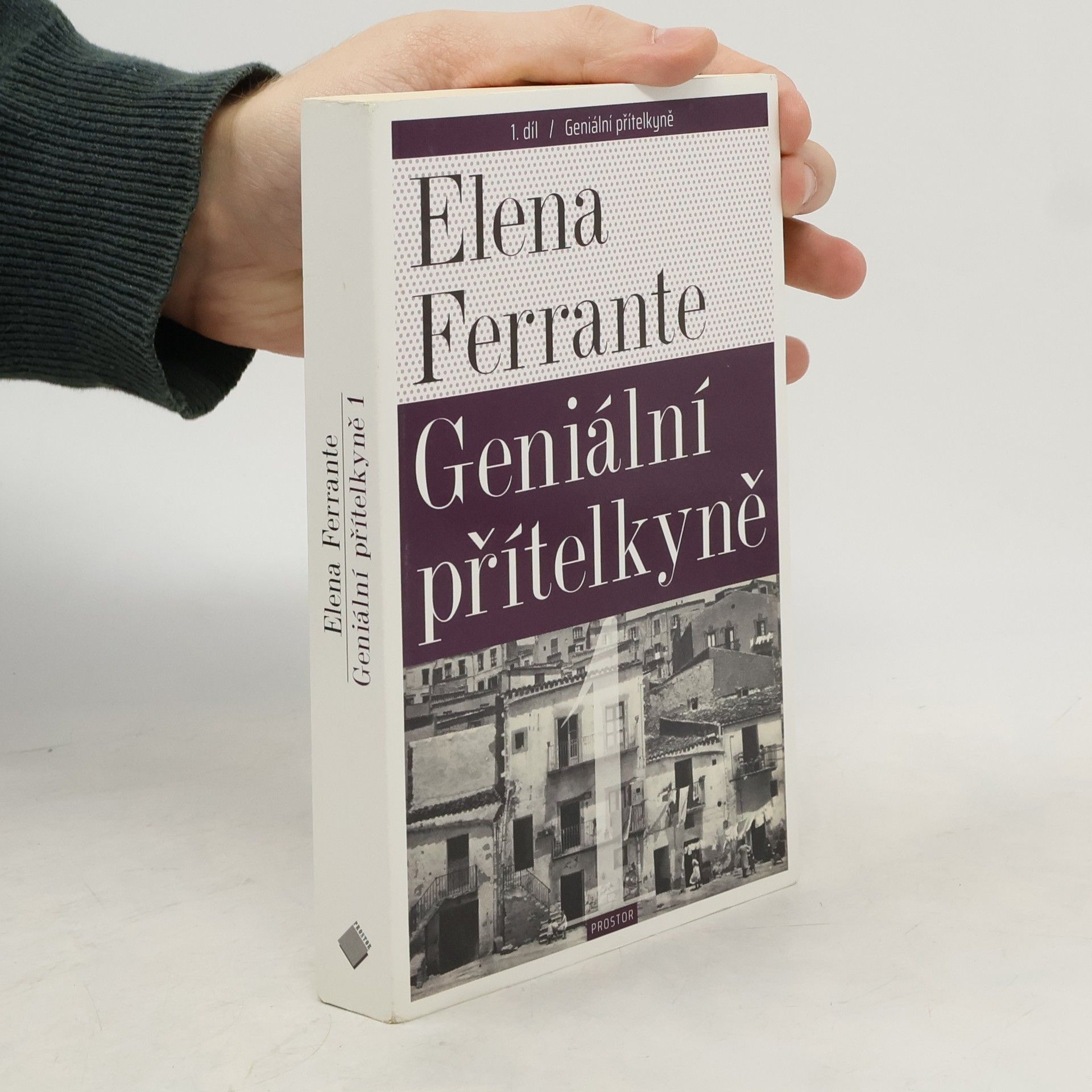 Elena Ferrante Geniální přítelkyně 1. Dětství a dospívání