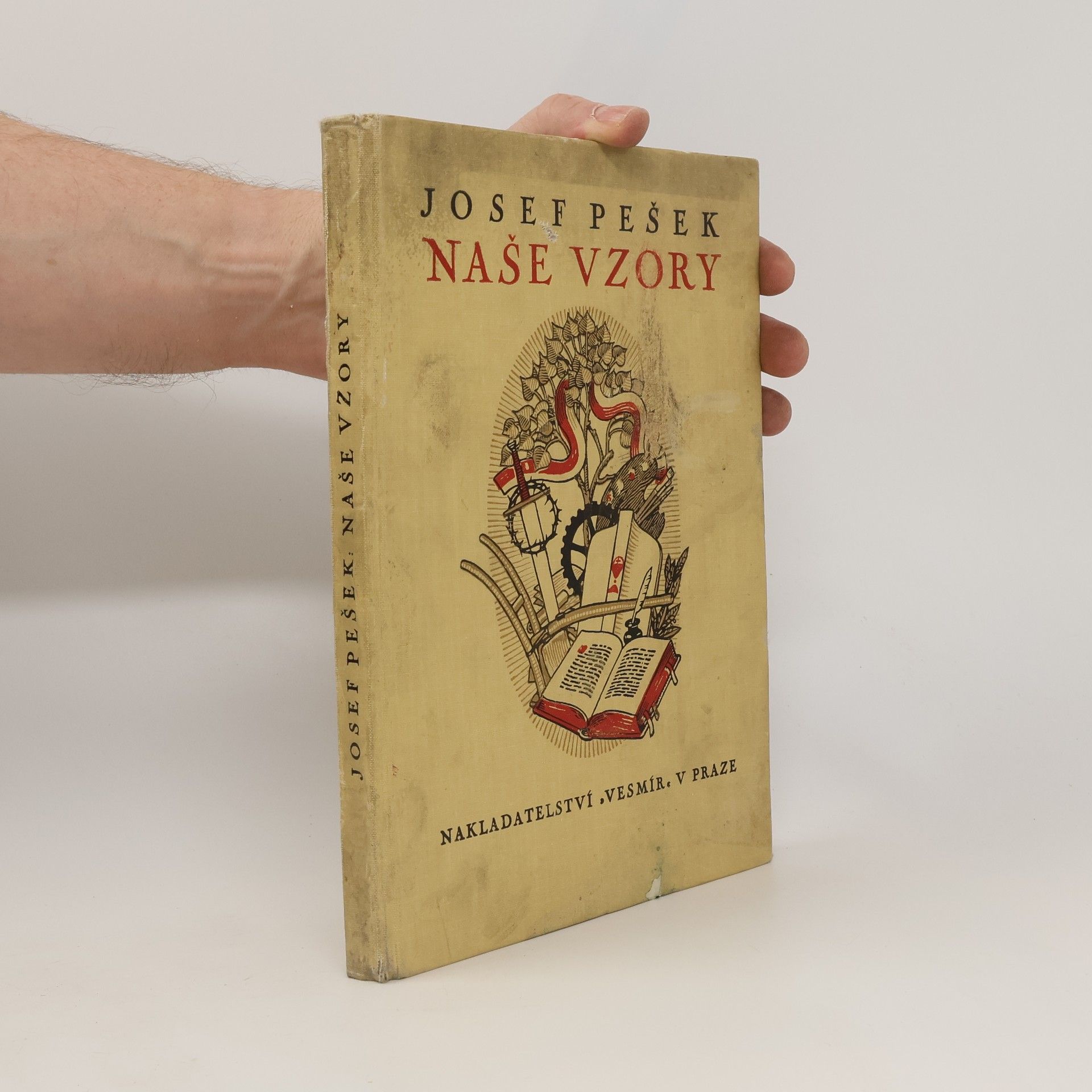 Collectif d'auteurs Naše vzory