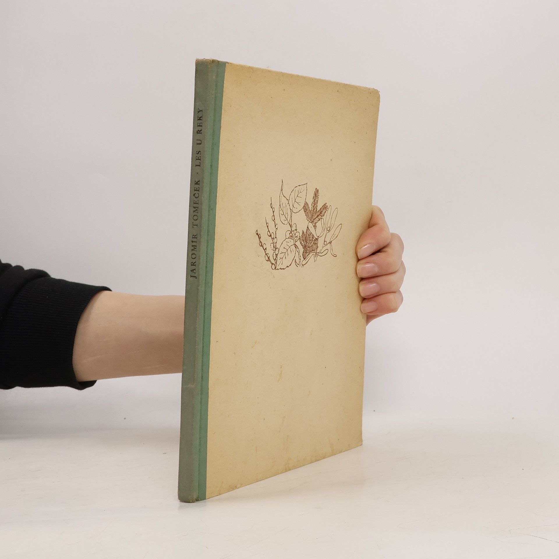 Jaromír Tomeček Les u řeky