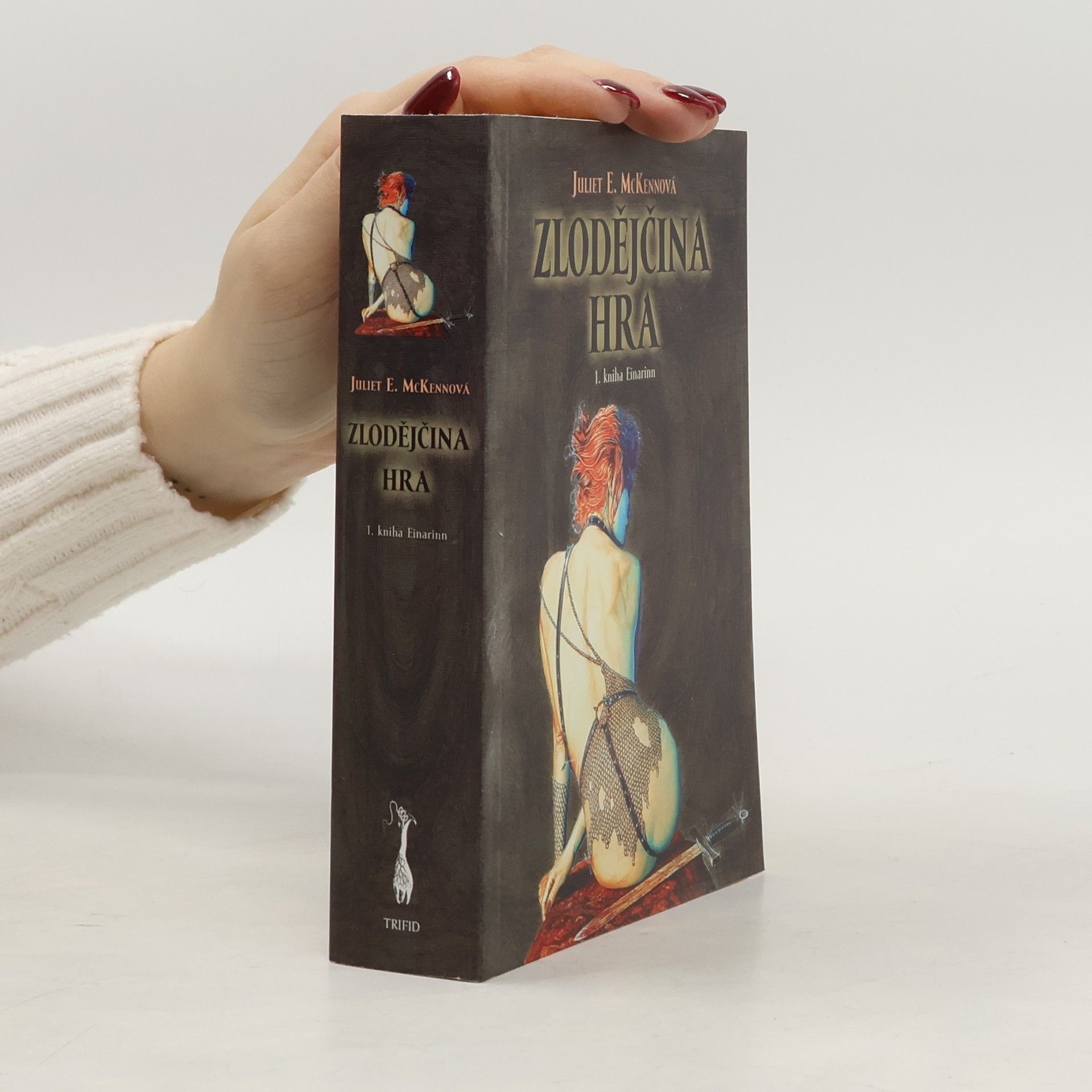 Juliet E. McKenna Zlodějčina hra