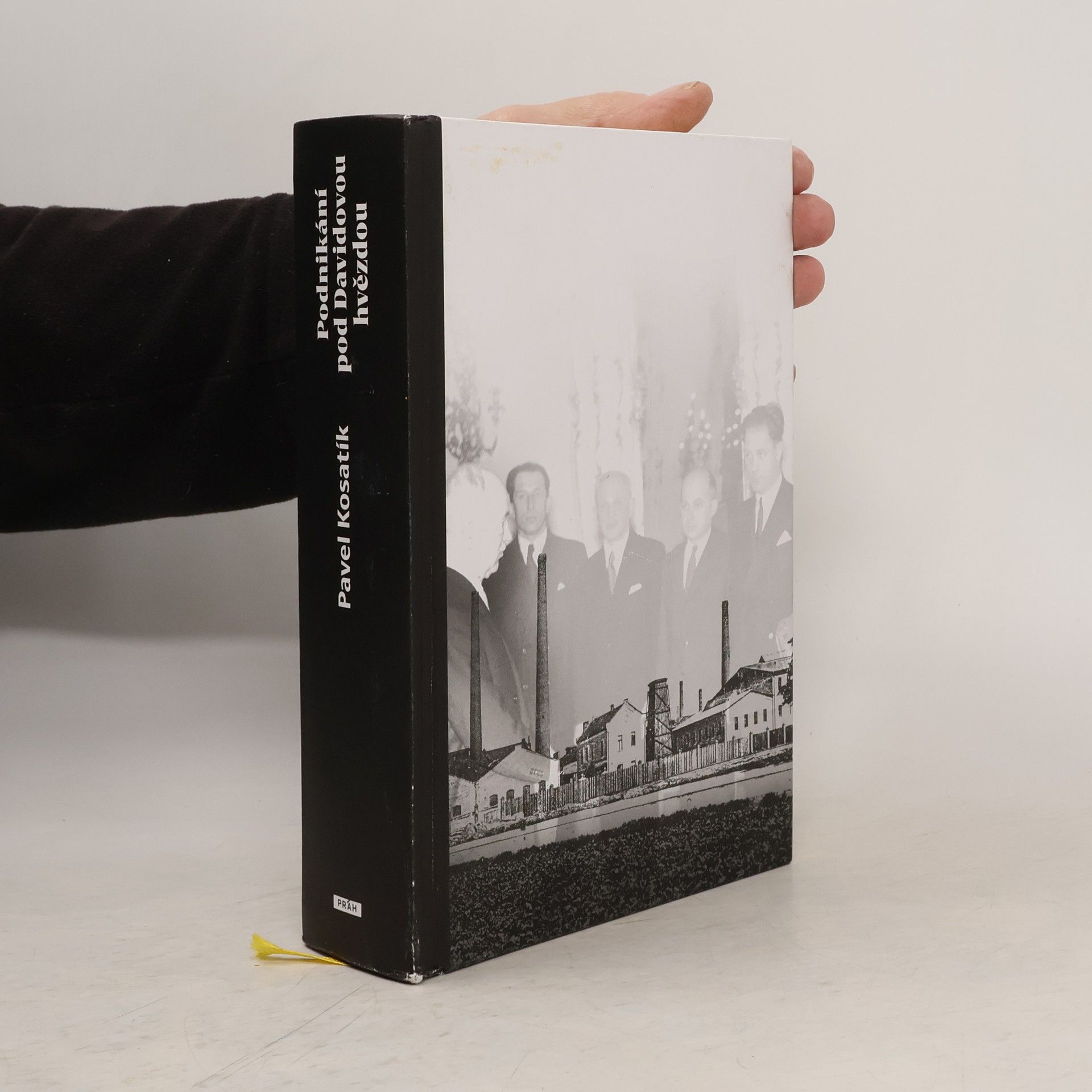 Pavel Kosatík Podnikání pod Davidovou hvězdou