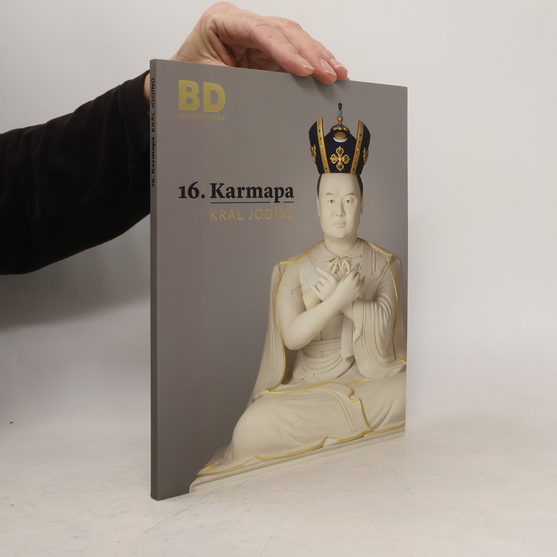 Autorenkollektiv 16. Karmapa. Král jogínů