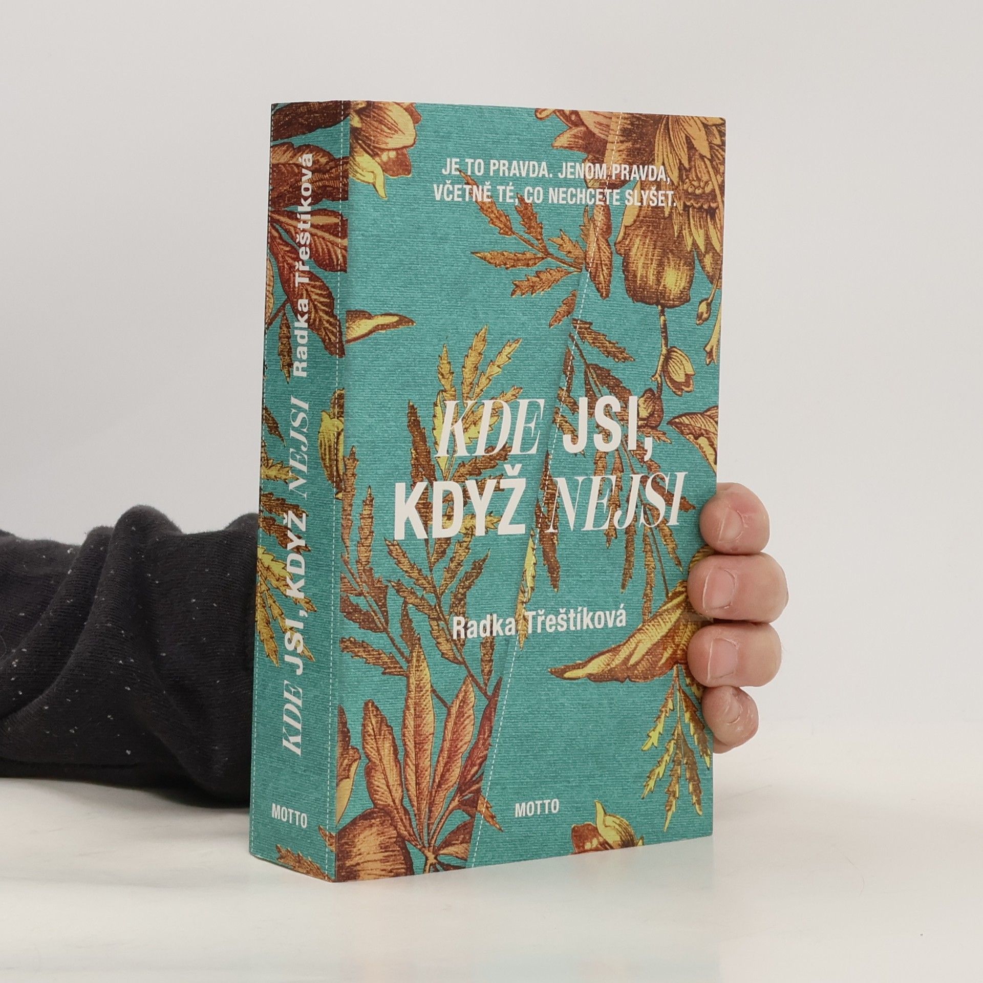 Radka Třeštíková Kde jsi, když nejsi