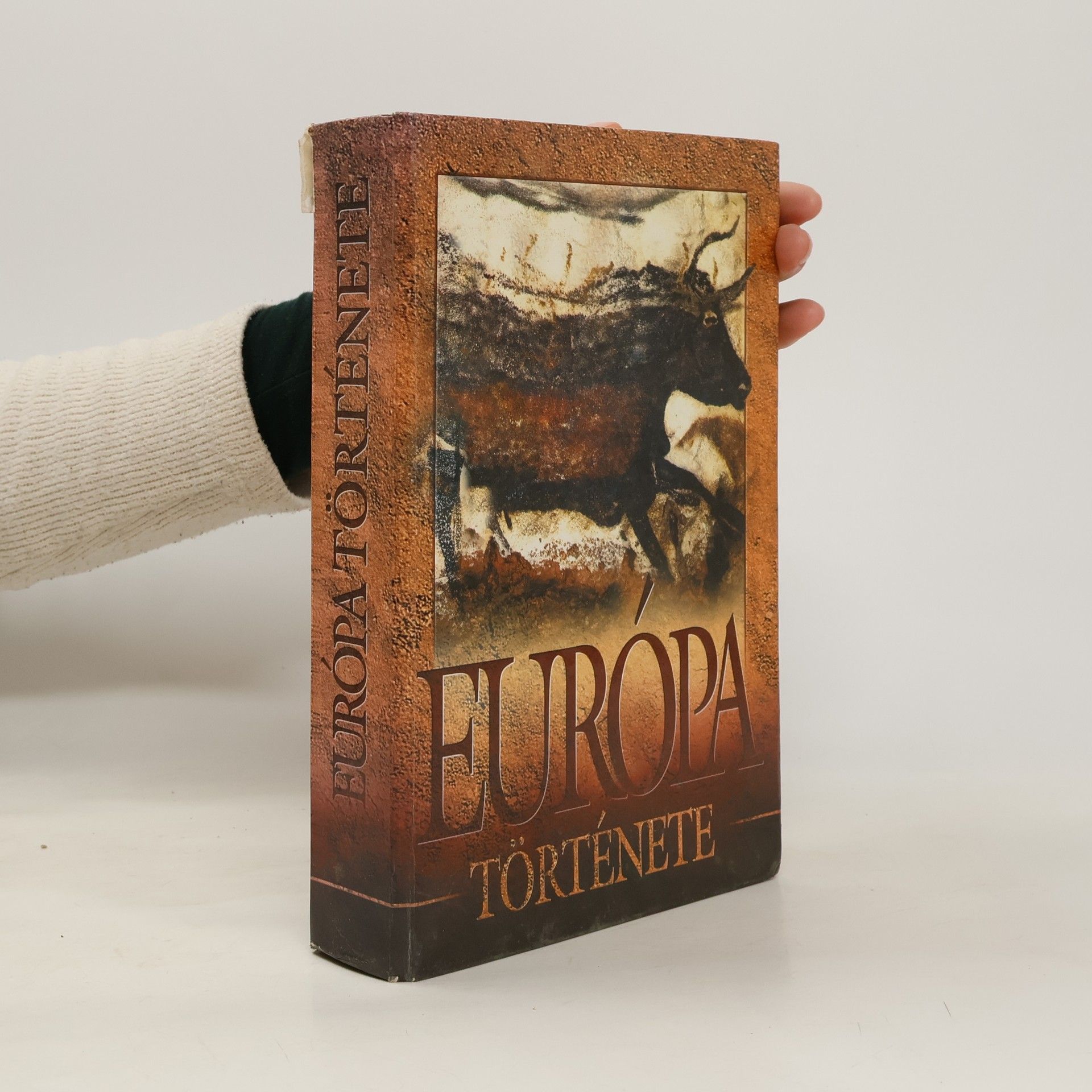 Autores varios Európa története