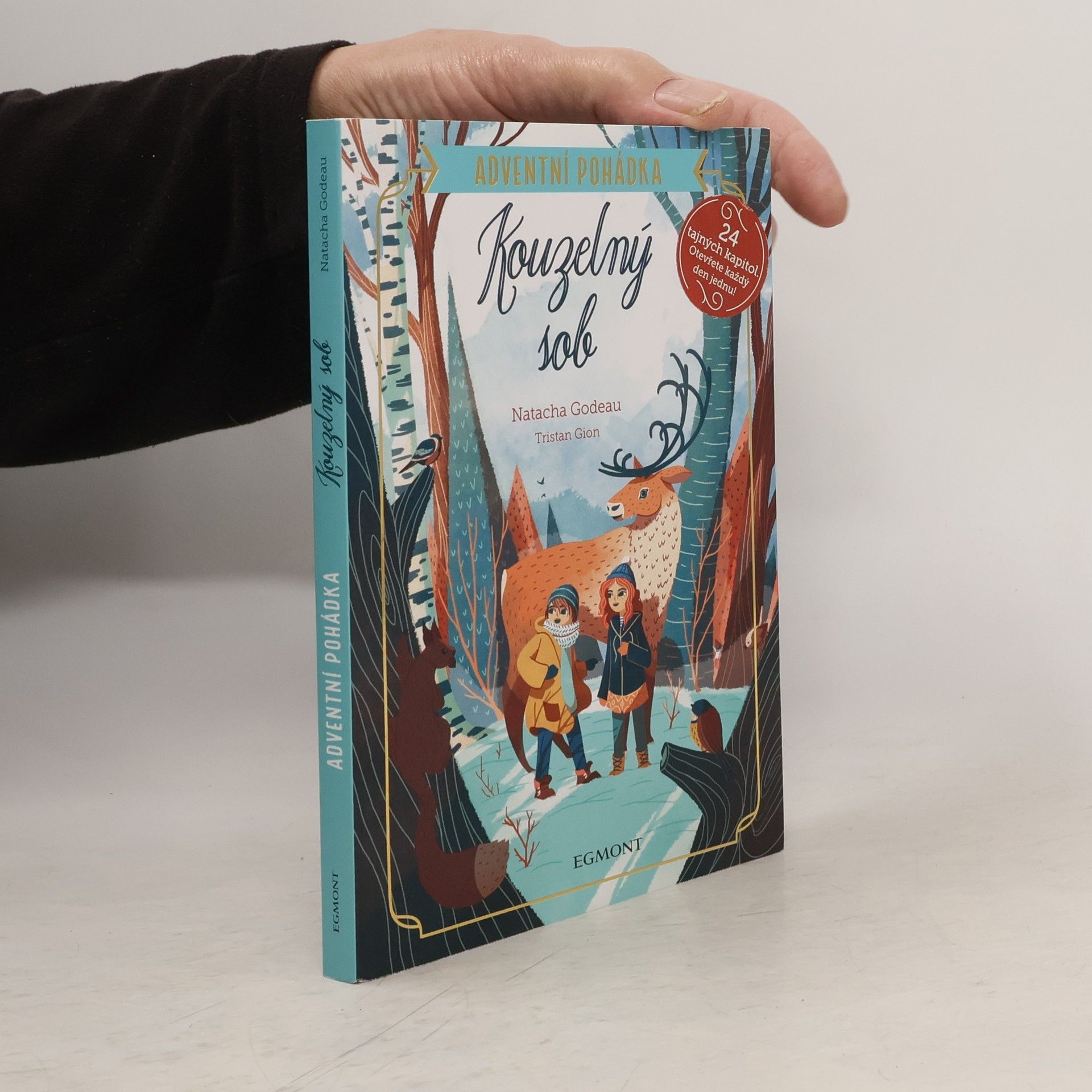 Petr Himmel Kouzelný sob