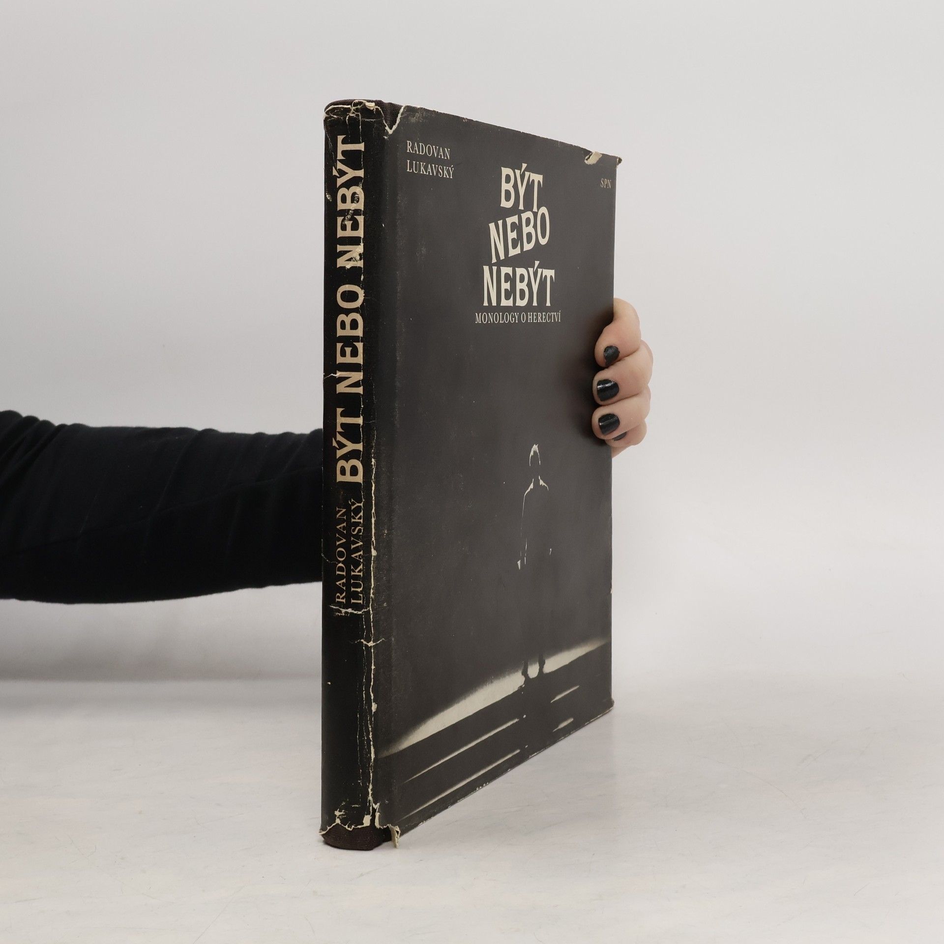 Radovan Lukavský Být nebo nebýt