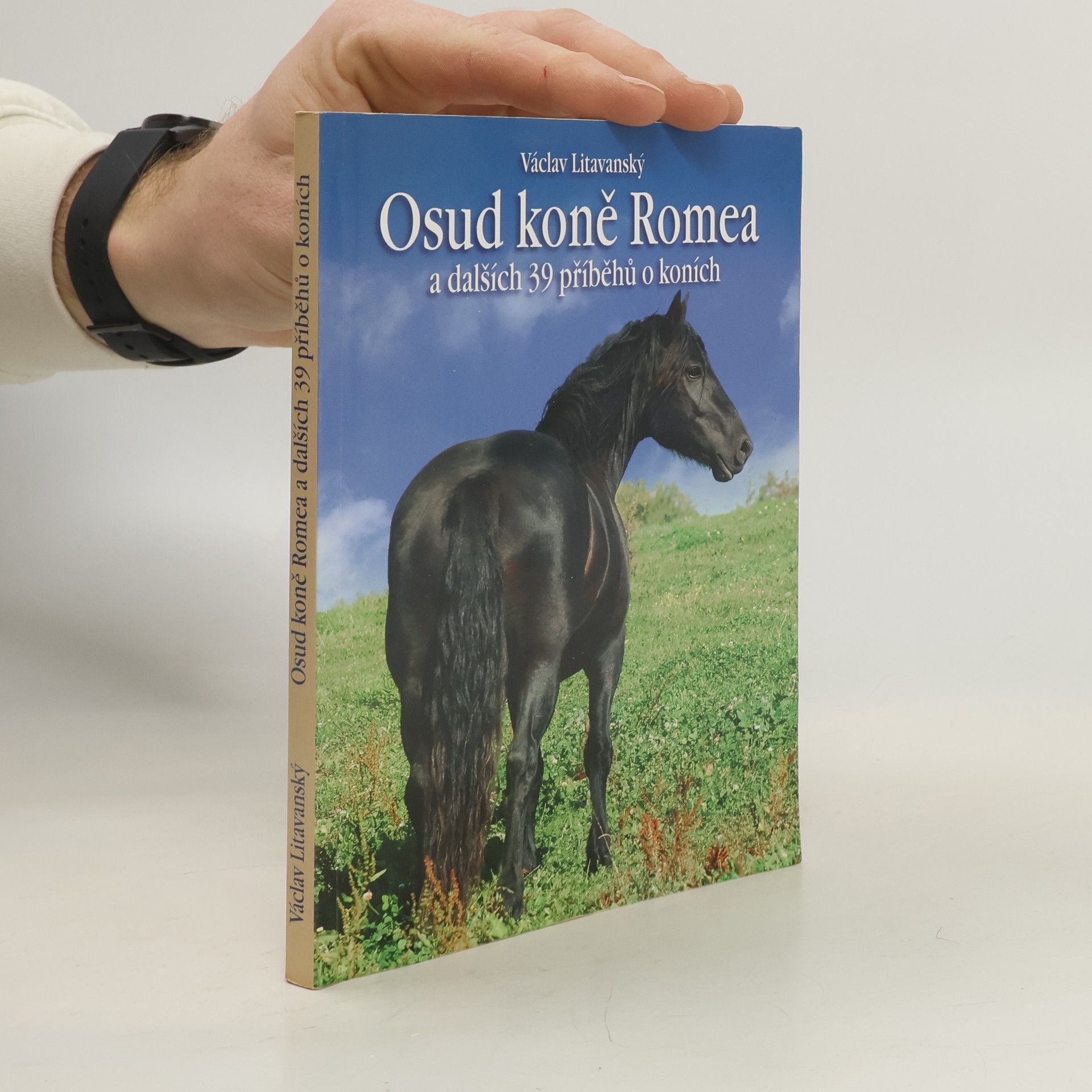 Václav Litavanský Osud koně Romea a dalších 39 příběhů o koních