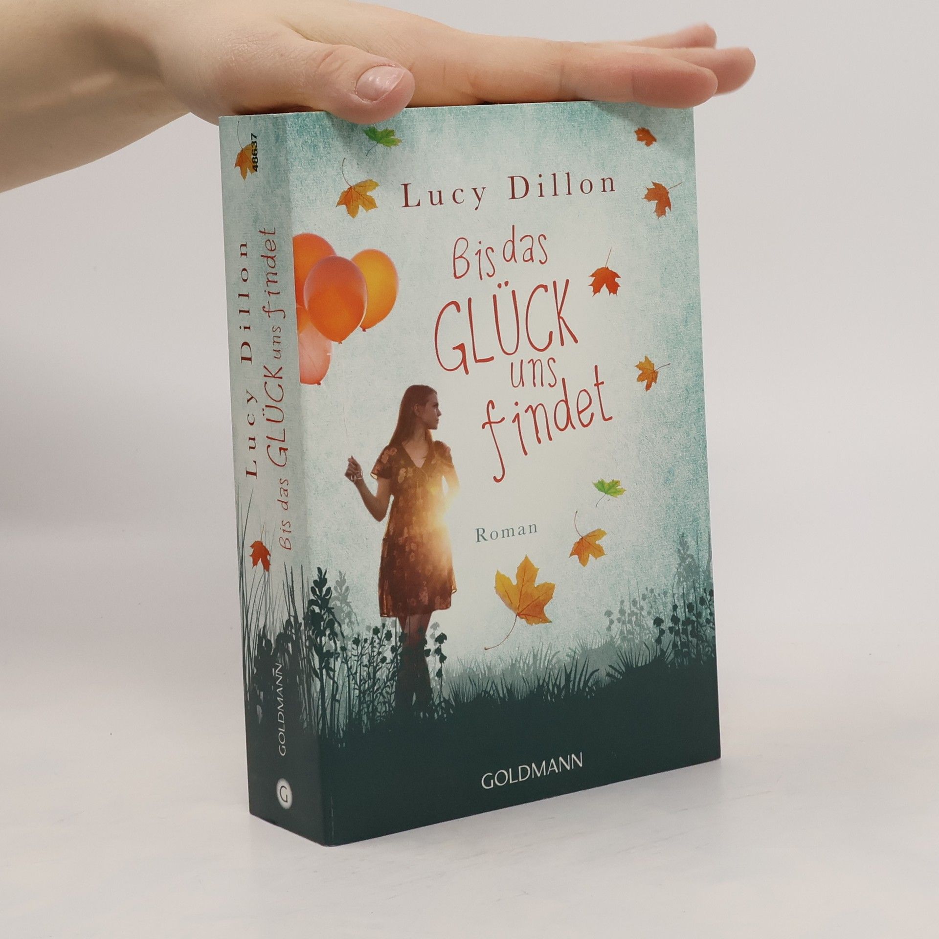 Lucy Dillon Bis das Glück uns findet