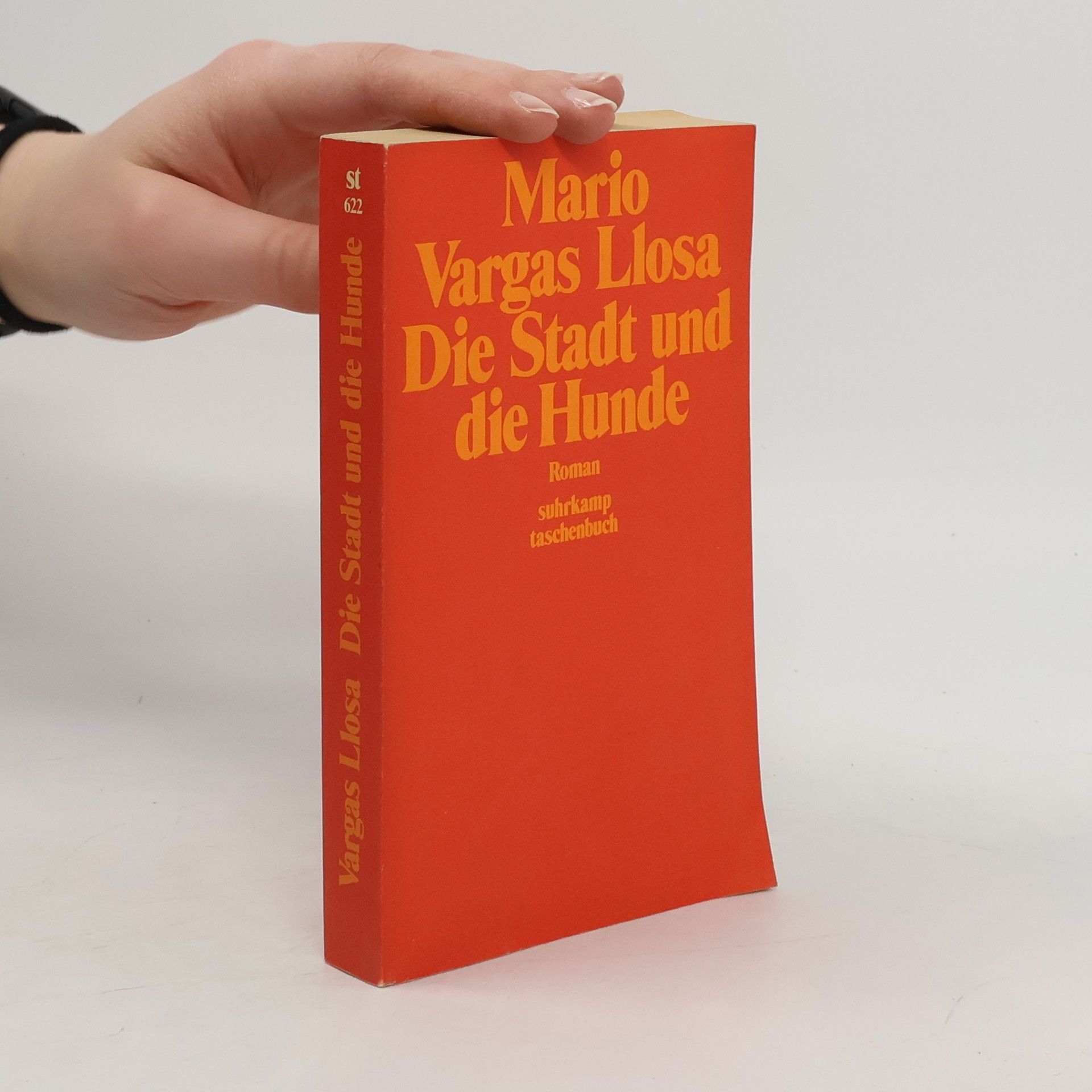Mario Vargas Llosa Die Stadt und die Hunde: Roman