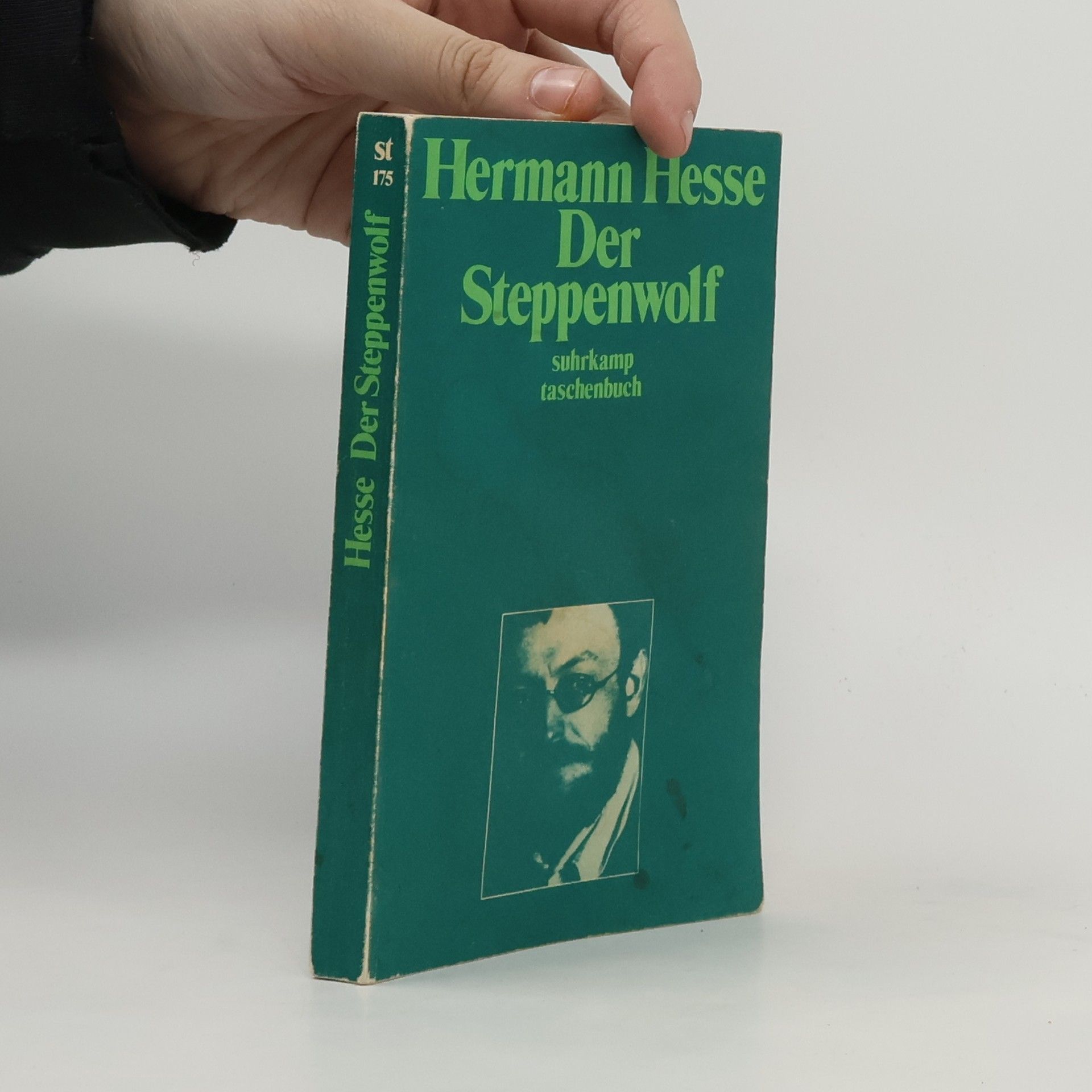 Hermann Hesse Der Steppenwolf