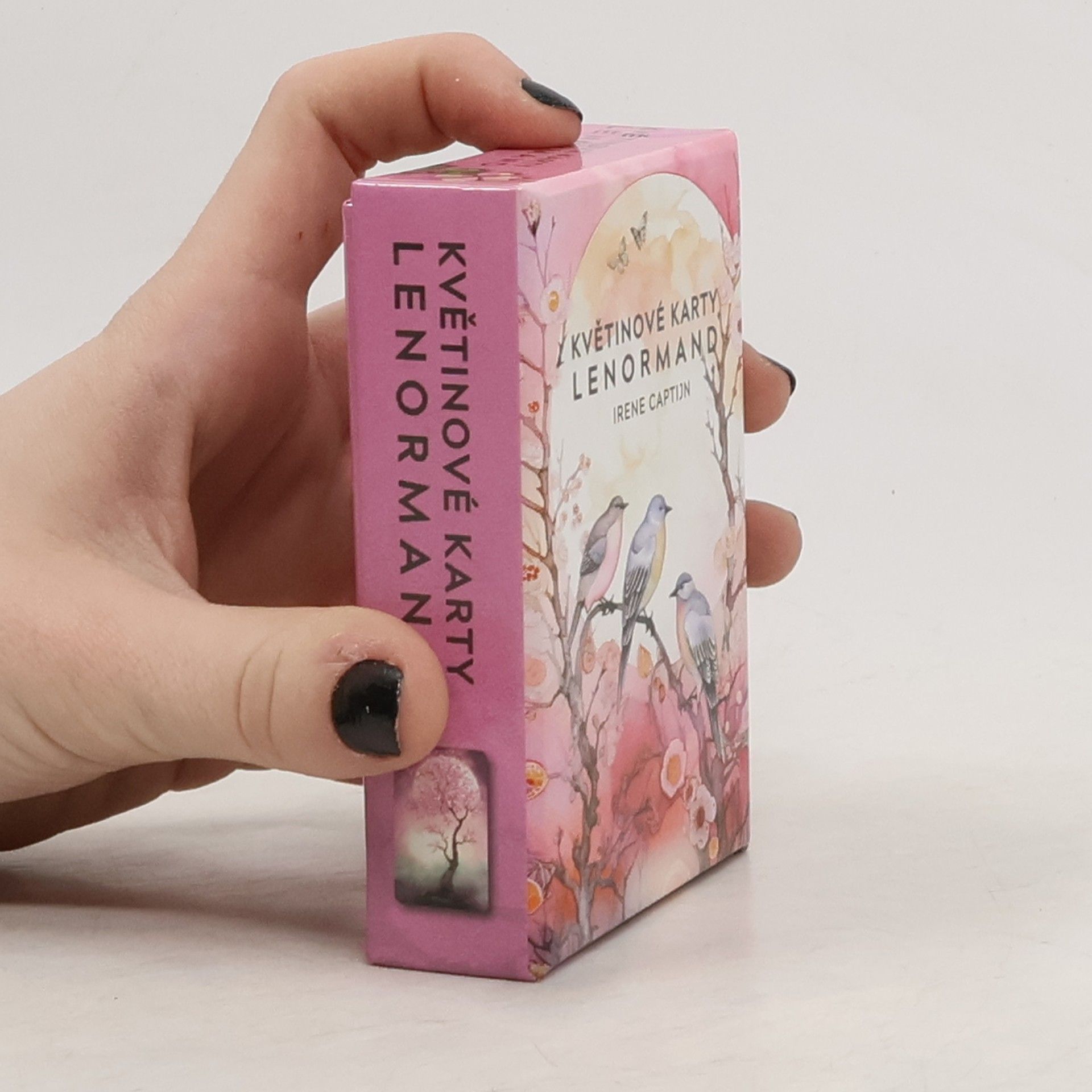 Irene Captijn Květinové karty Lenormand - Kniha a 36 karet