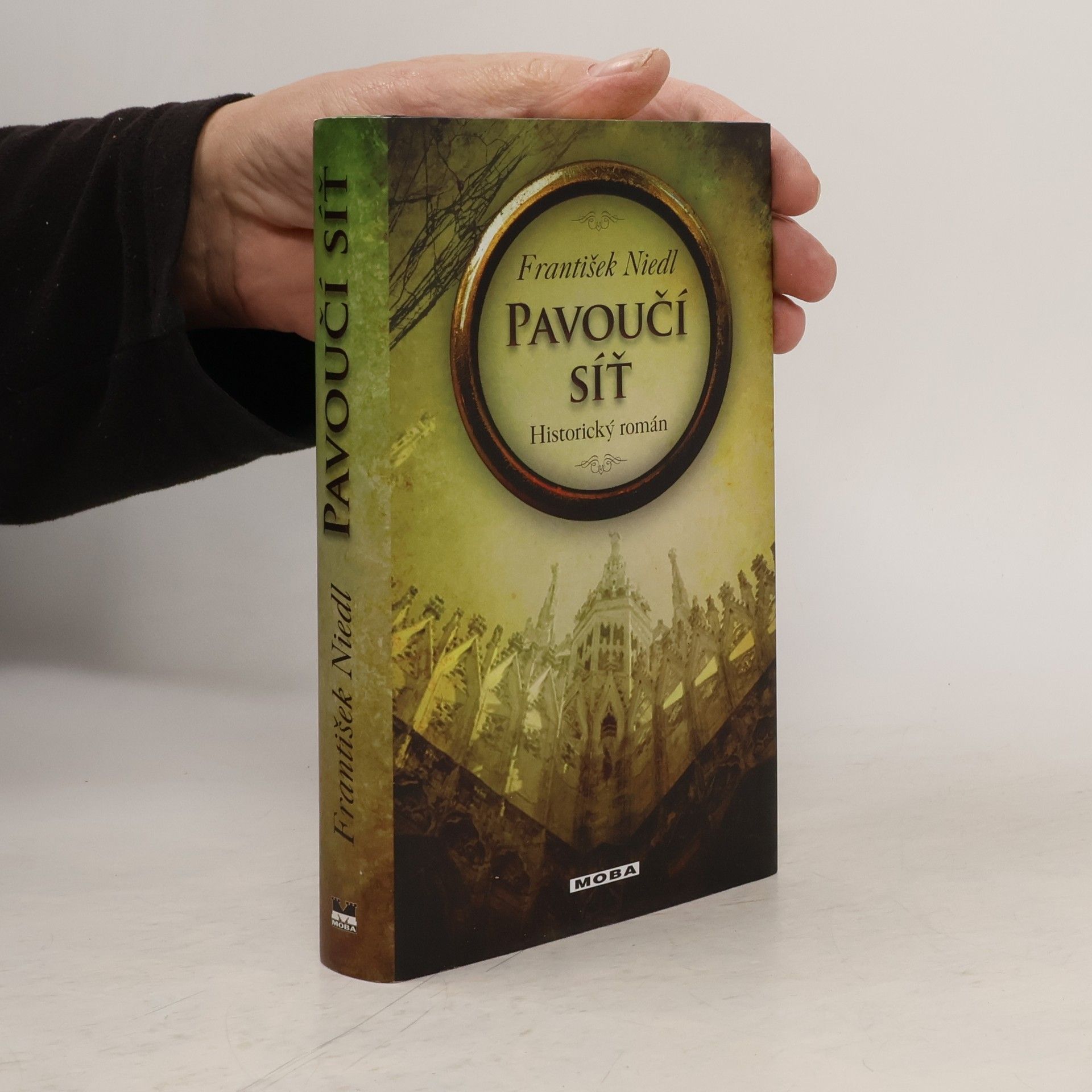 František Niedl Pavoučí síť : historický román