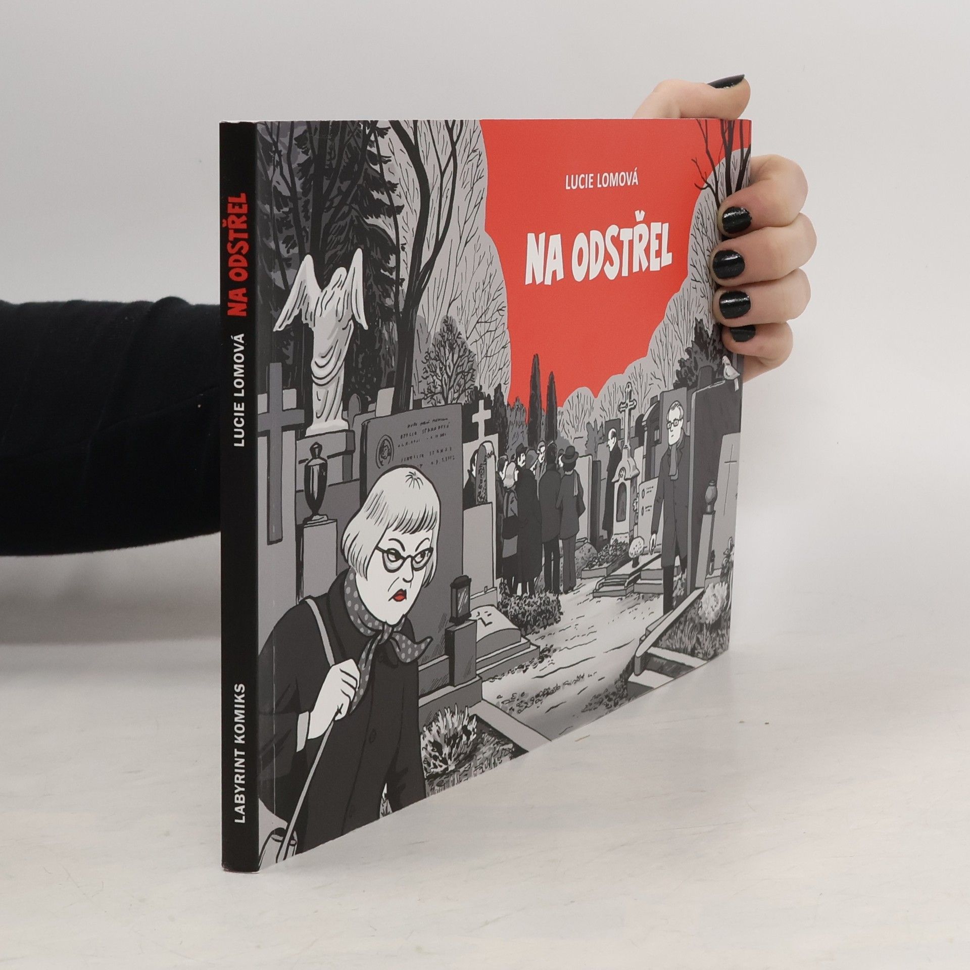Lucie Lomová Na odstřel: Komiksová detektivka