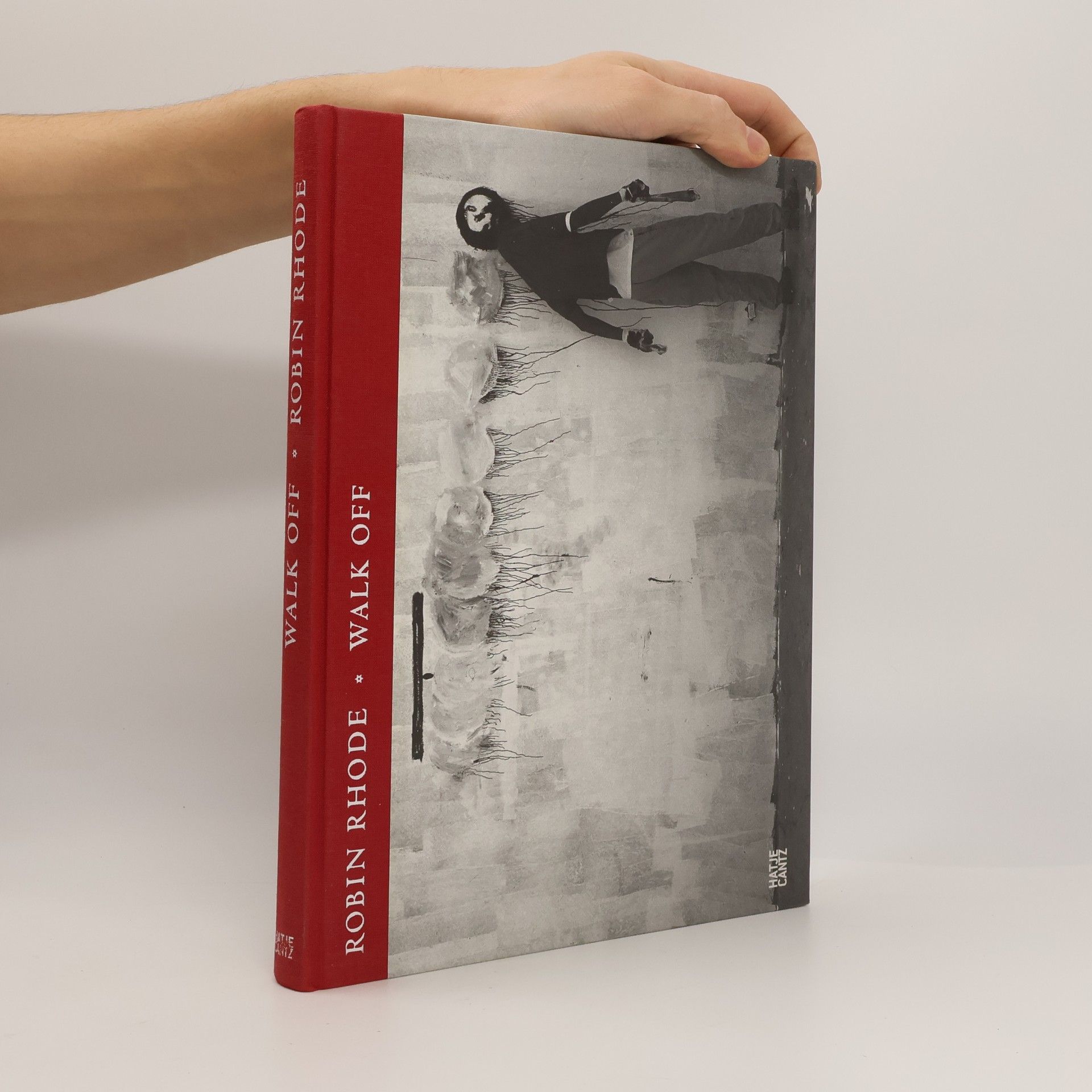 Robin Rhode Robin Rhode