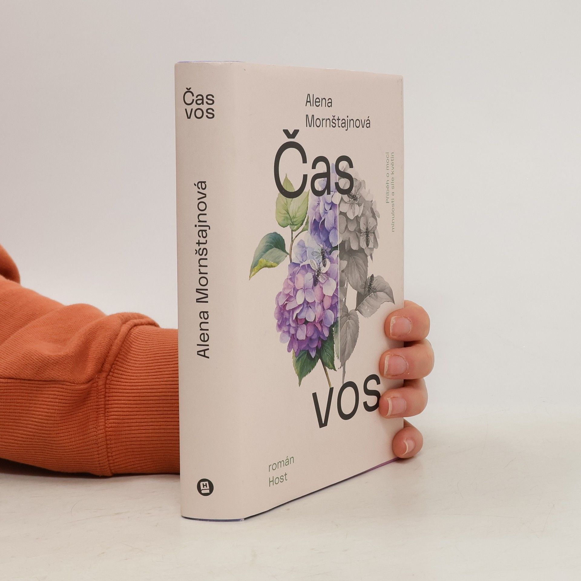 Alena Mornštajnová Čas vos