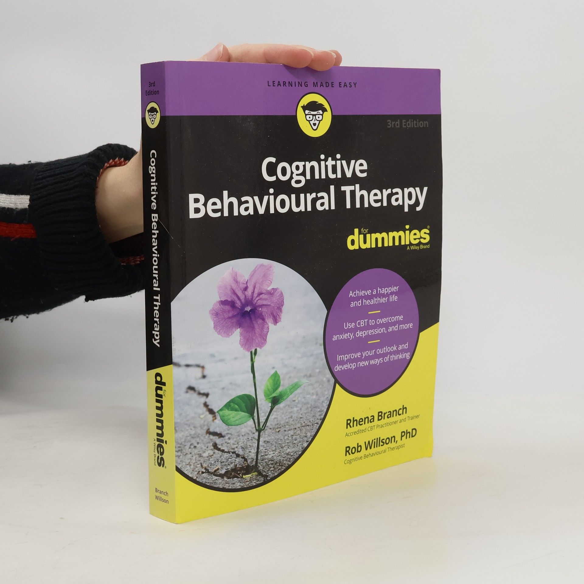 Rob Willson Cognitive Behavioural Therapy For Dummies