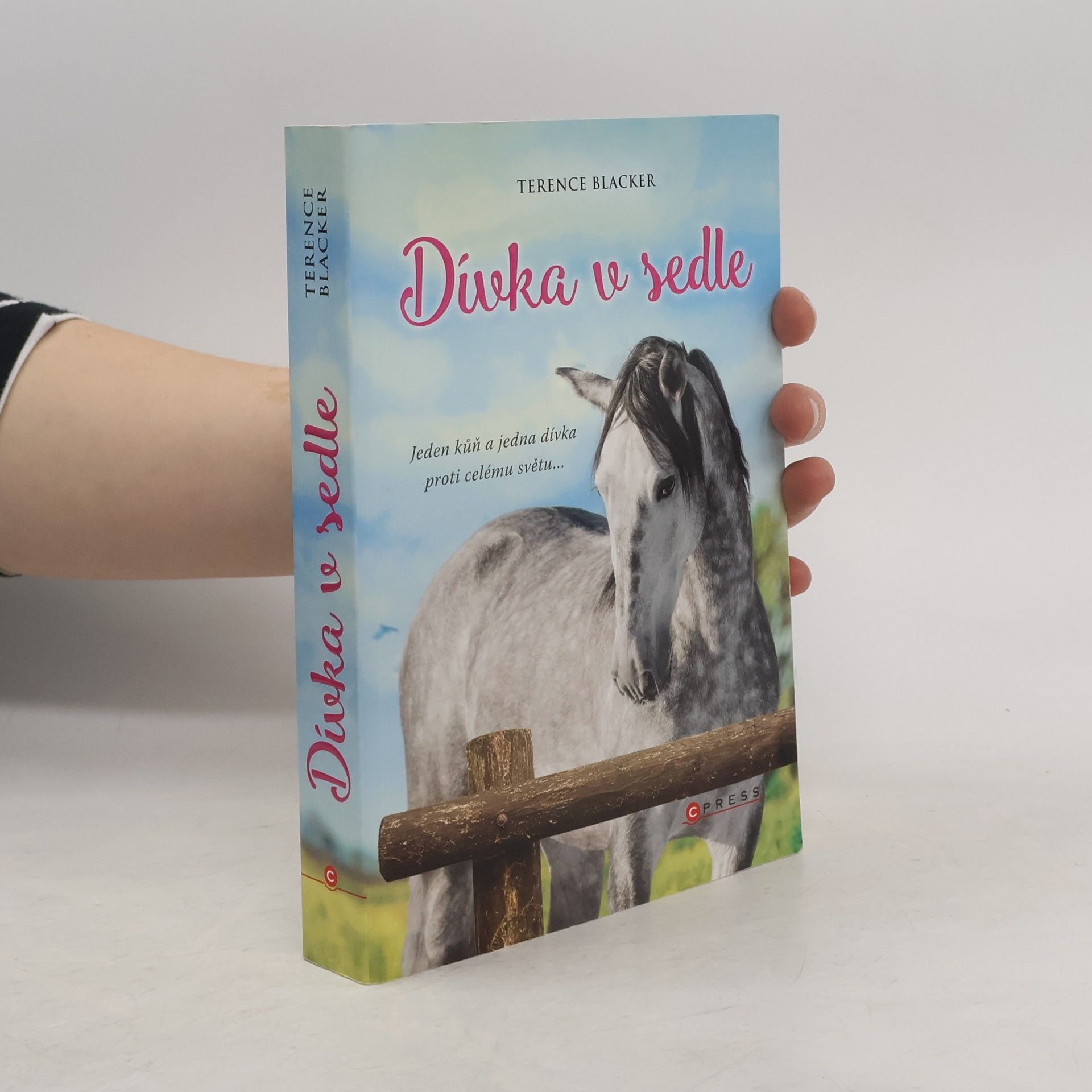 Terence Blacker Dívka v sedle