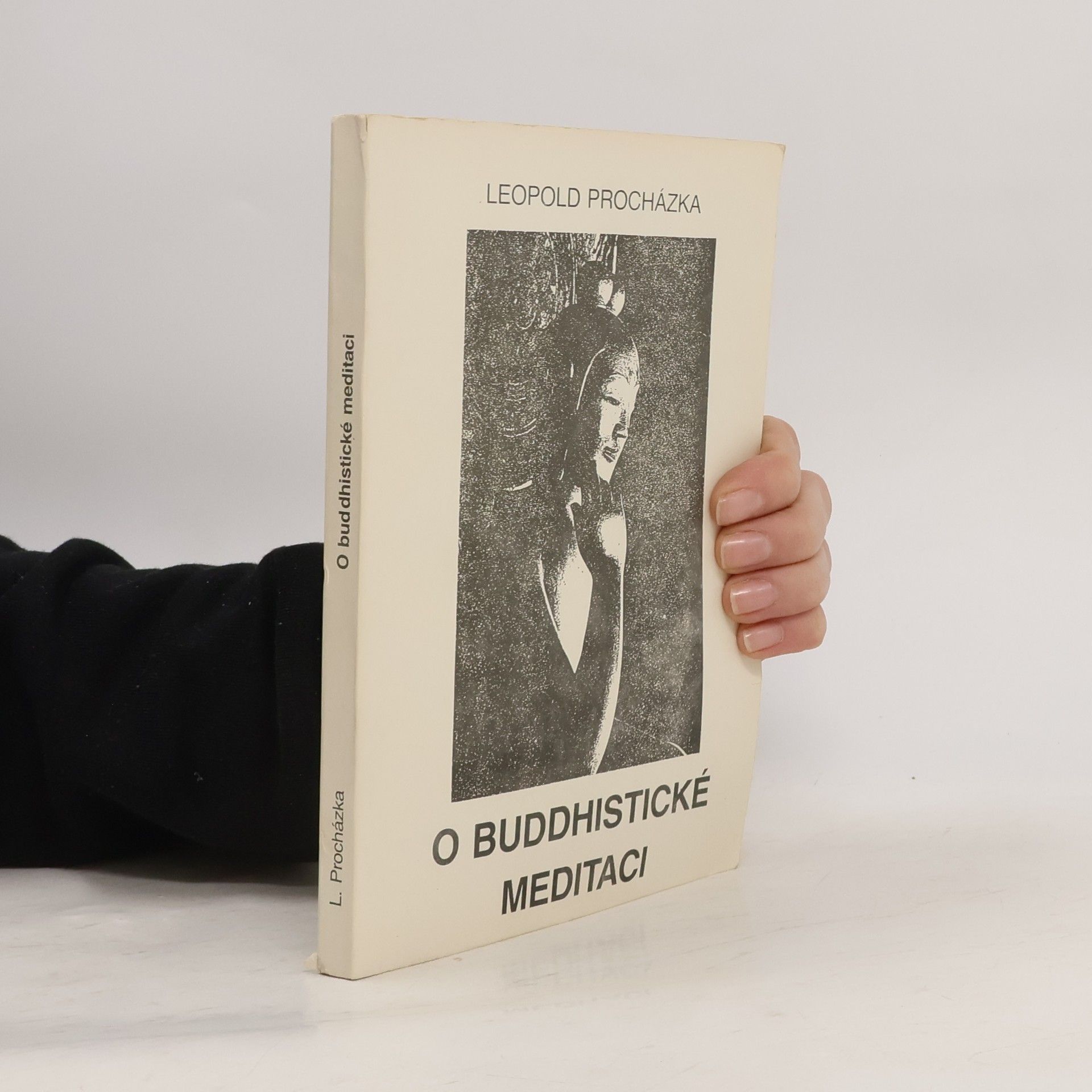 O buddhistické meditaci