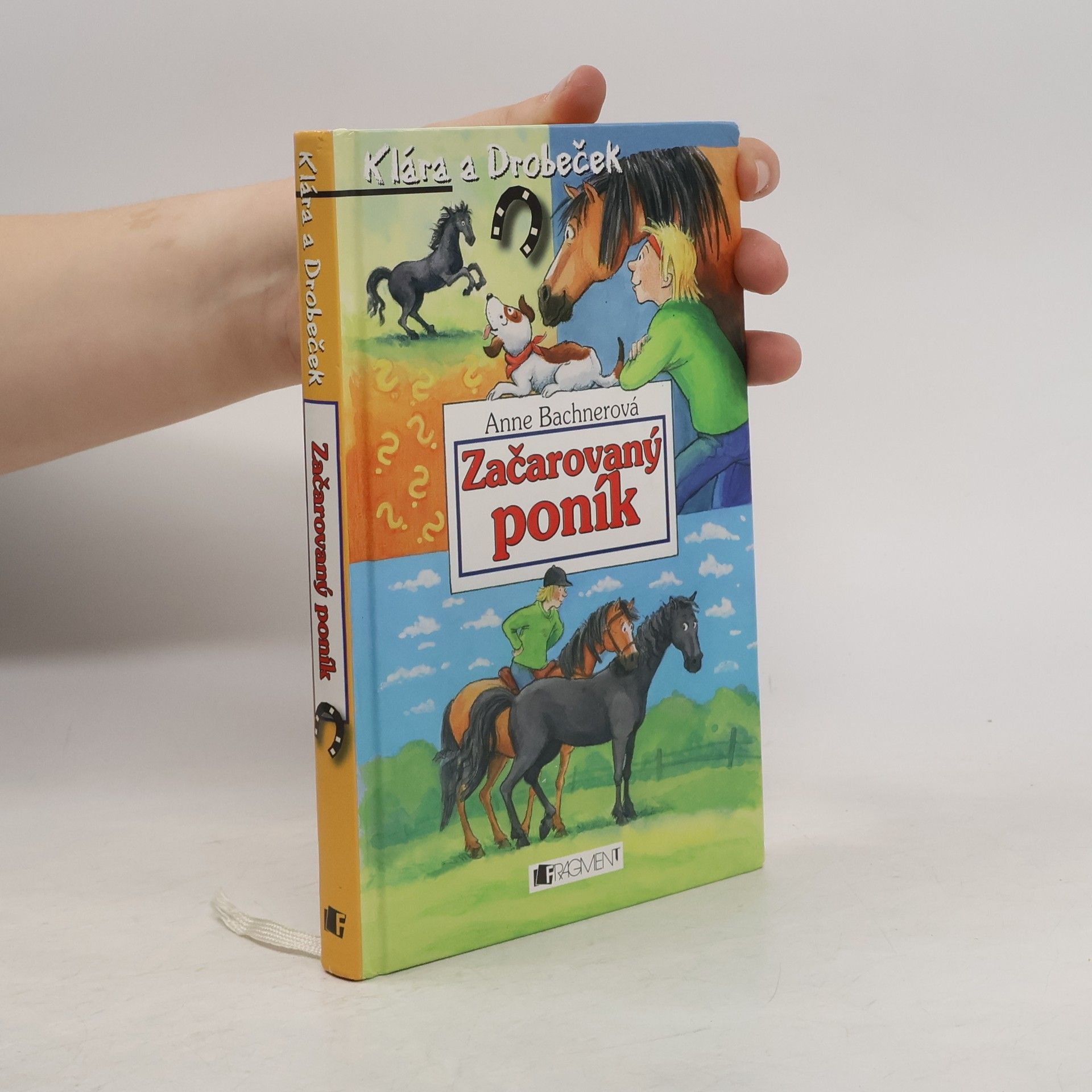 Anne Bachner Začarovaný poník