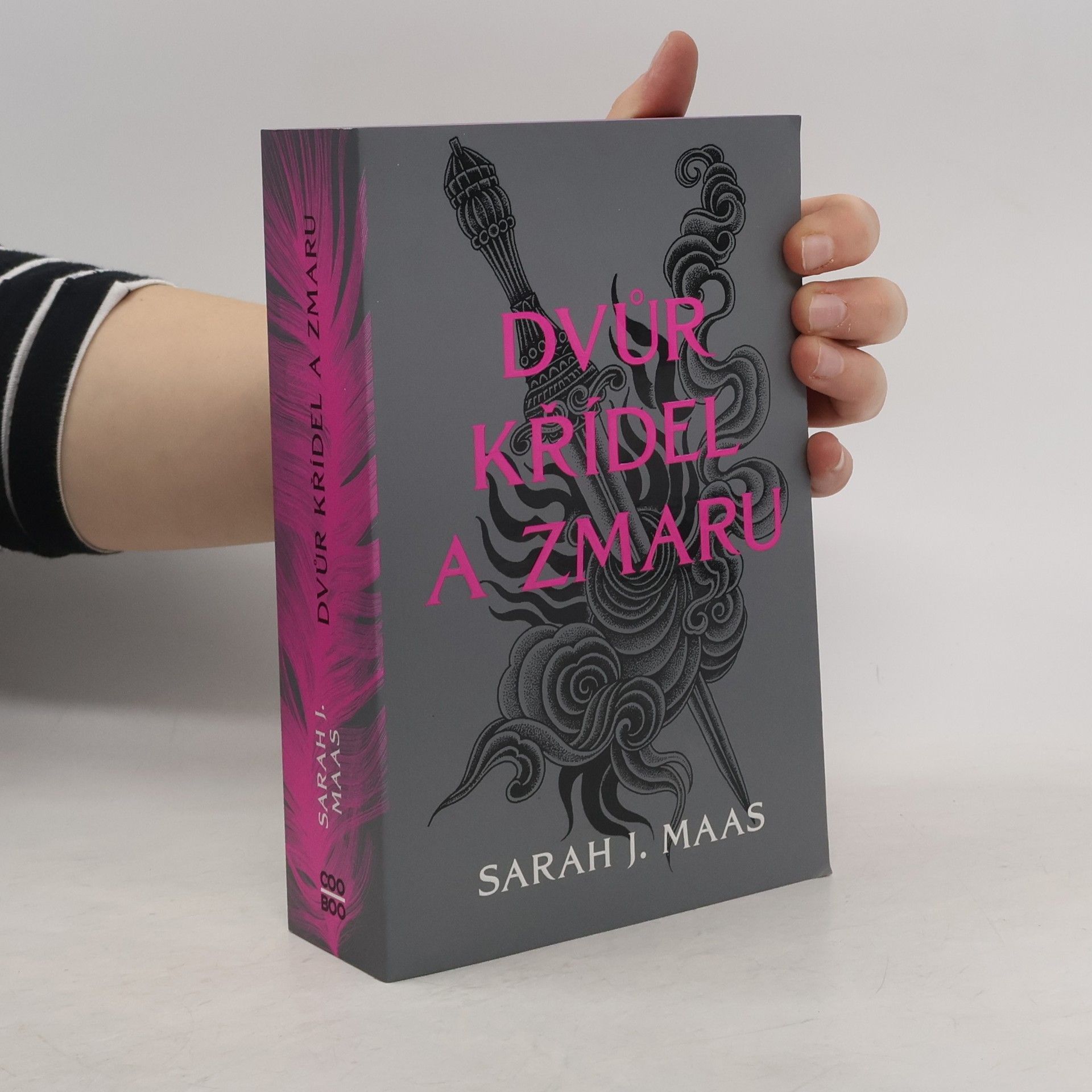Sarah J. Maas Dvůr křídel a zmaru
