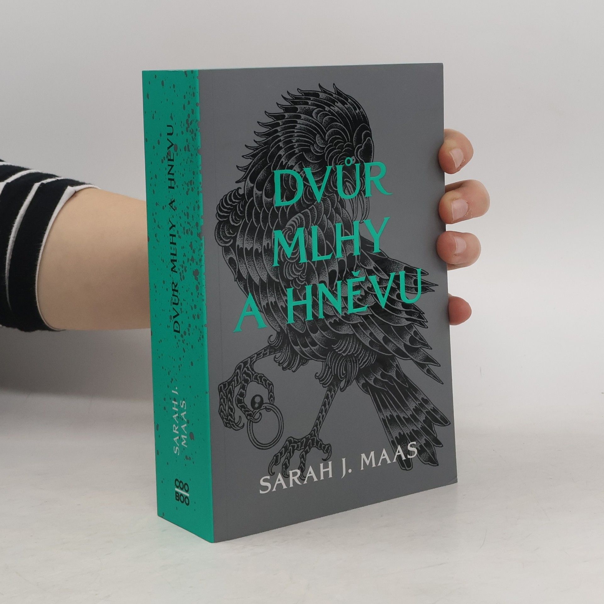 Sarah J. Maasová Dvůr mlhy a hněvu