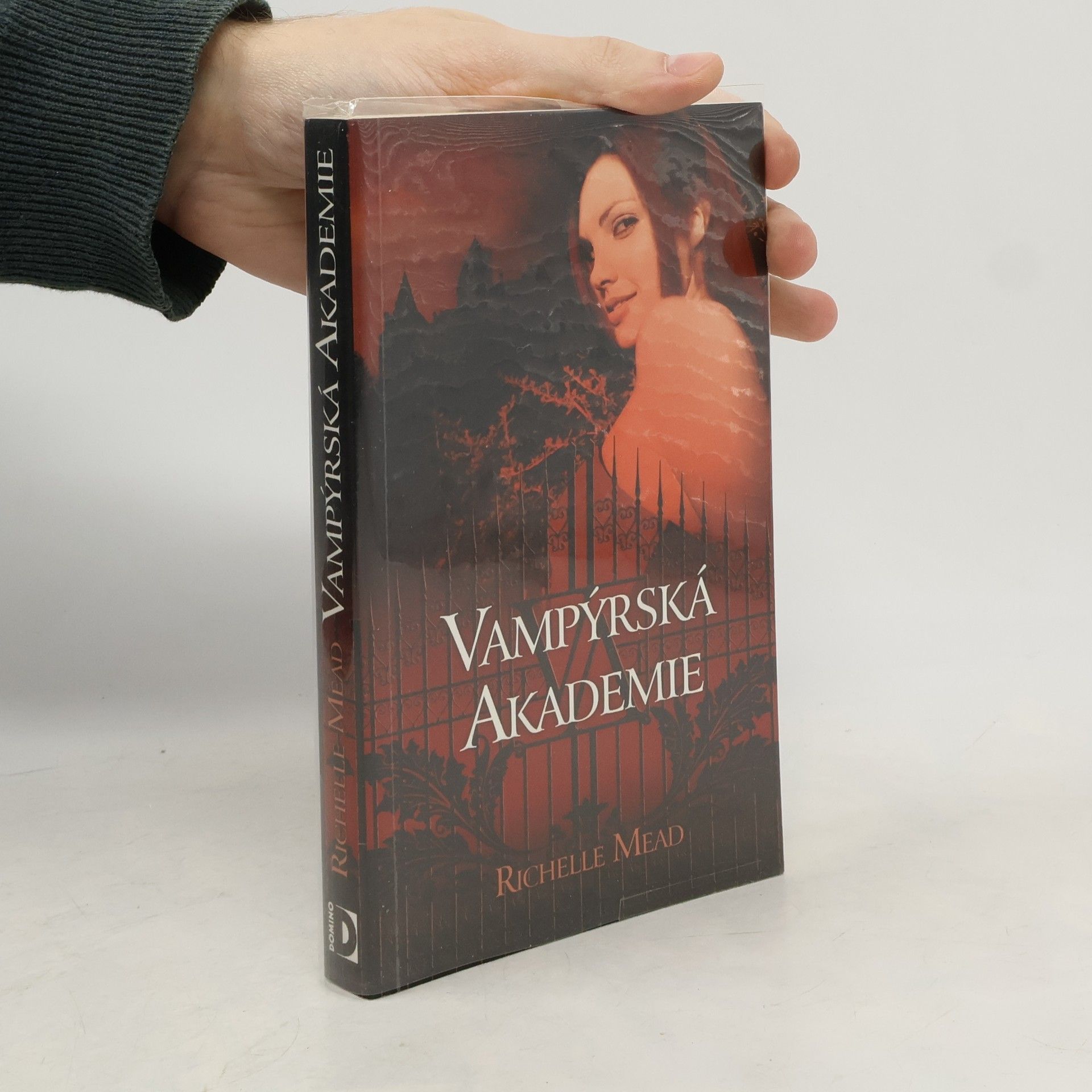 Richelle Mead Vampýrská akademie