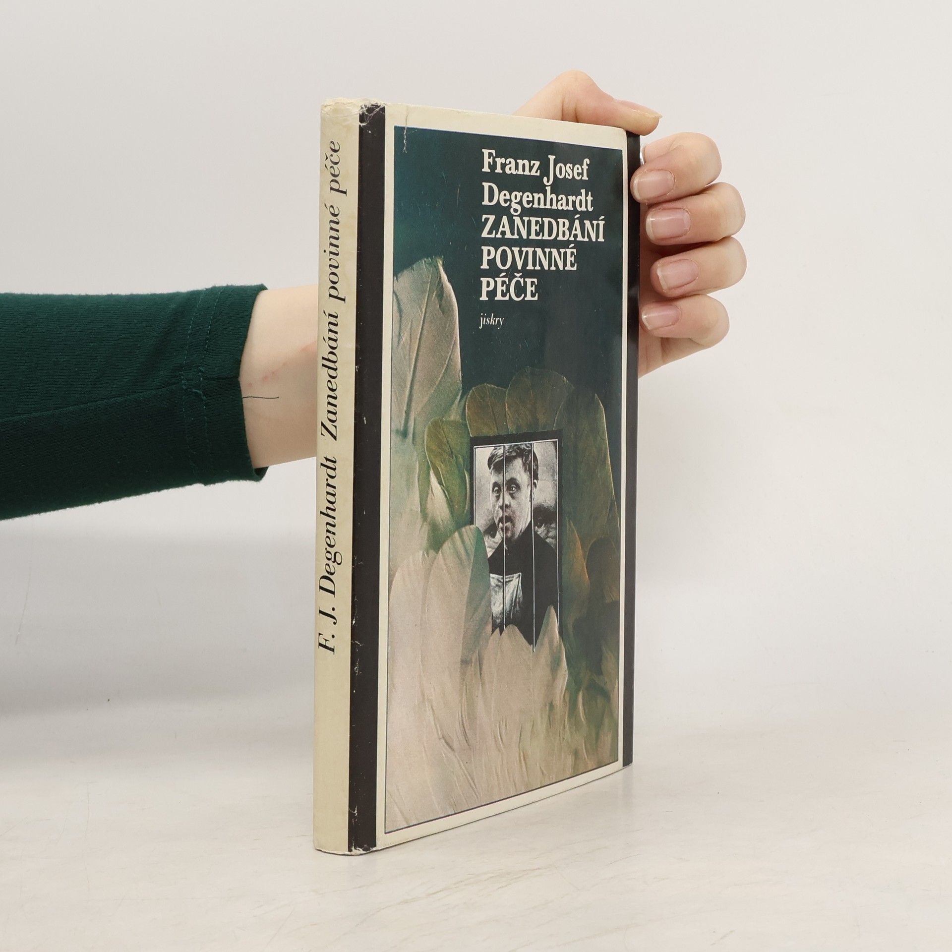 Franz Josef Degenhardt Zanedbání povinné péče