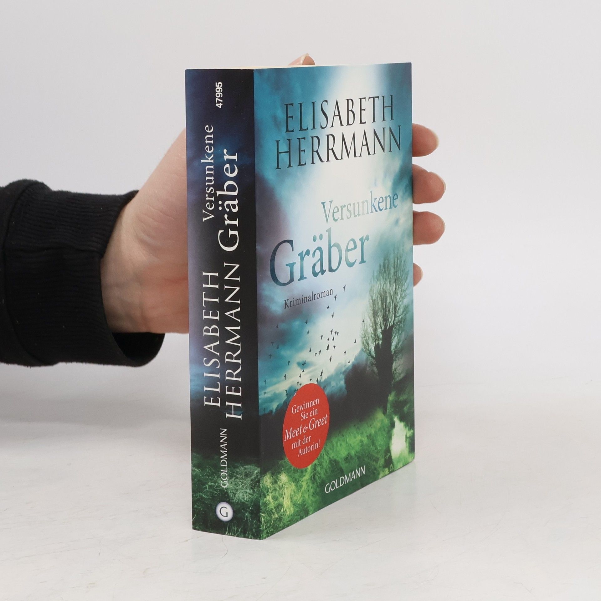 Elisabeth Hermann Versunkene Gräber