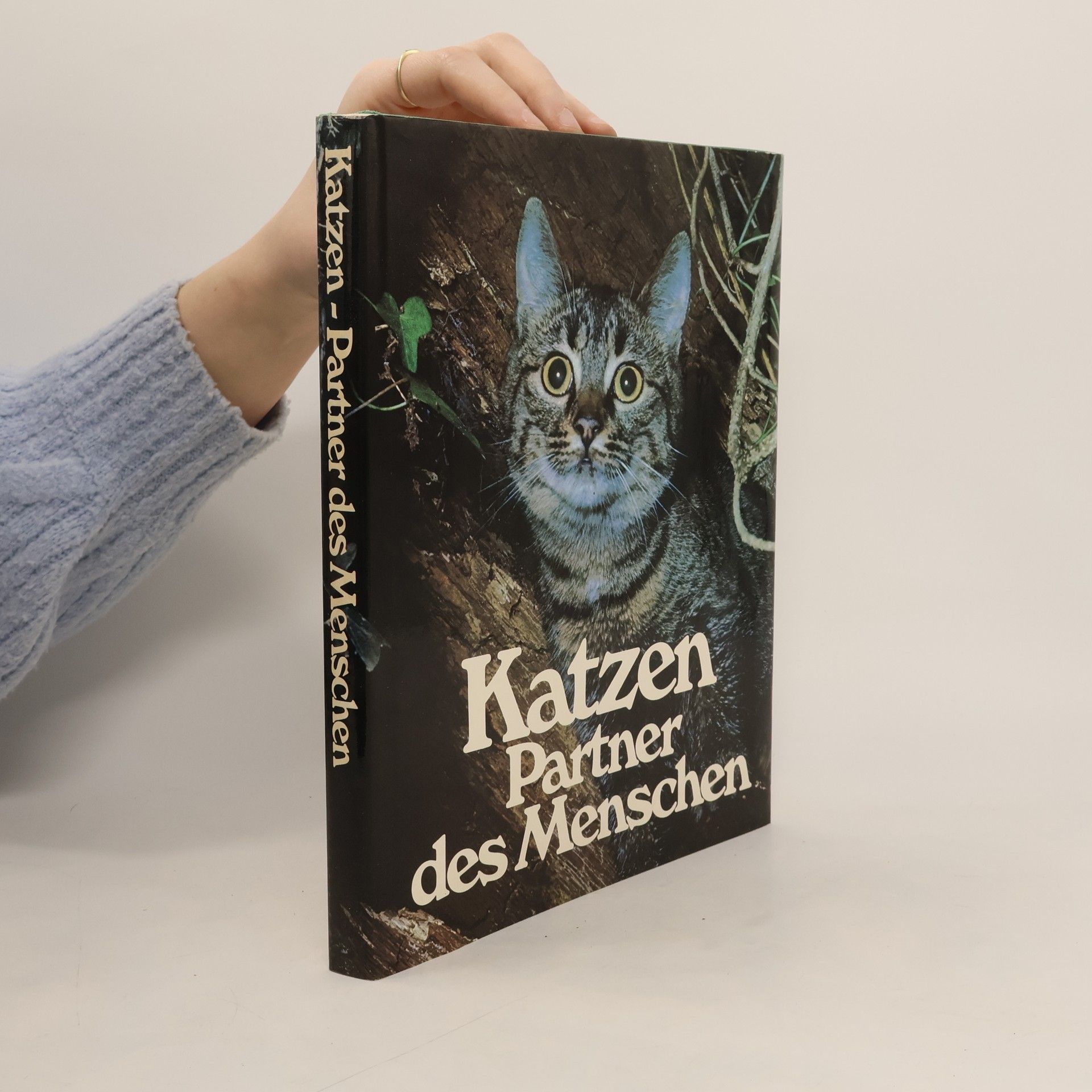 Collectif d'auteurs Katzen Partner des Menschen