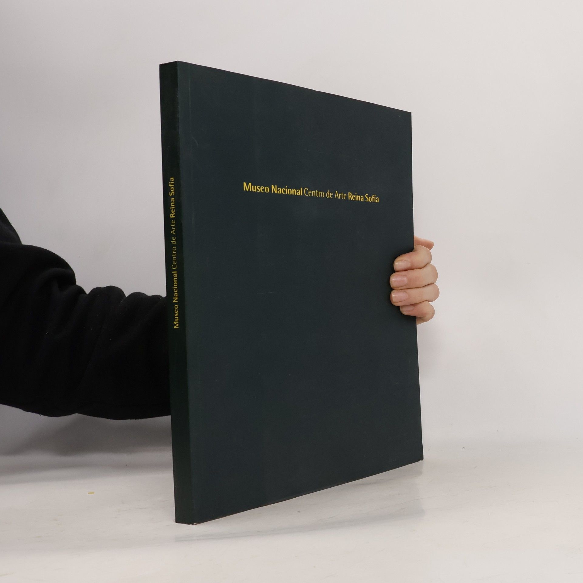 Museo Nacional Centro de Arte Reina Sofía Museo Nacional Centro de Arte Reina Sofía