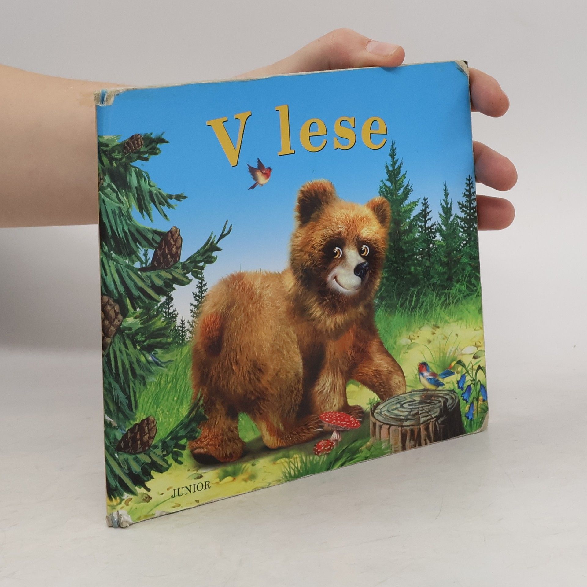 Zuzana Pospíšilová V lese