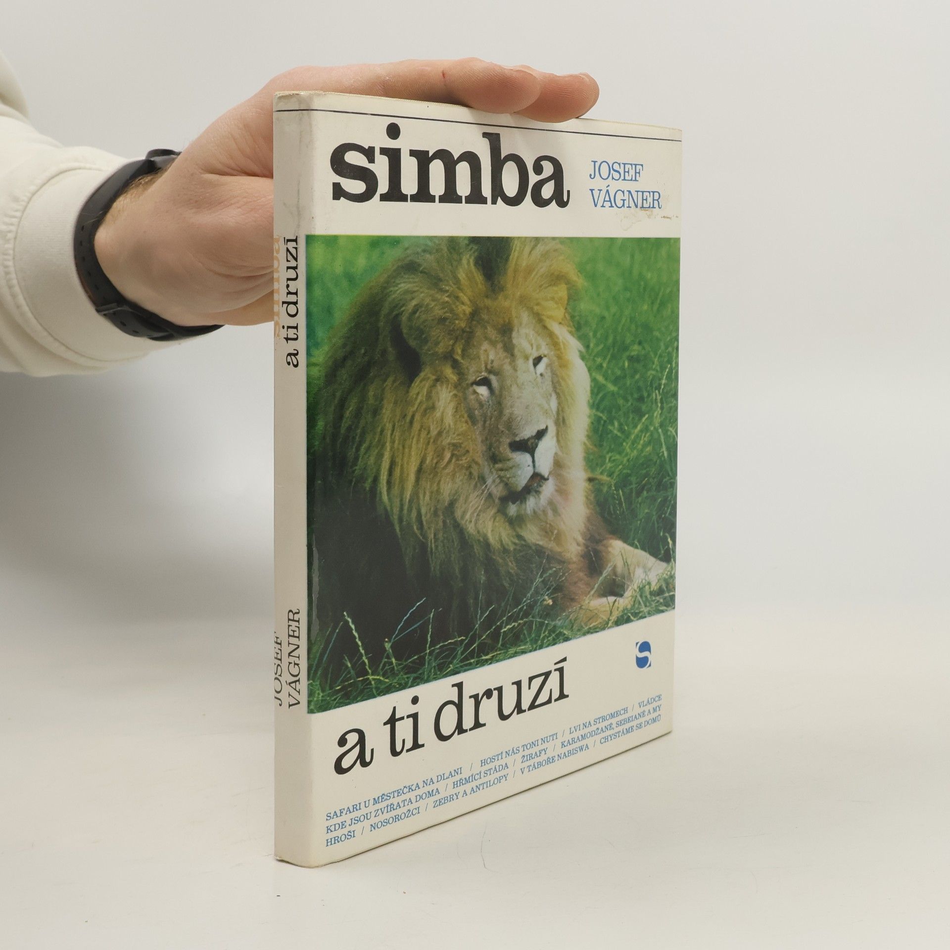 Simba a ti druzí