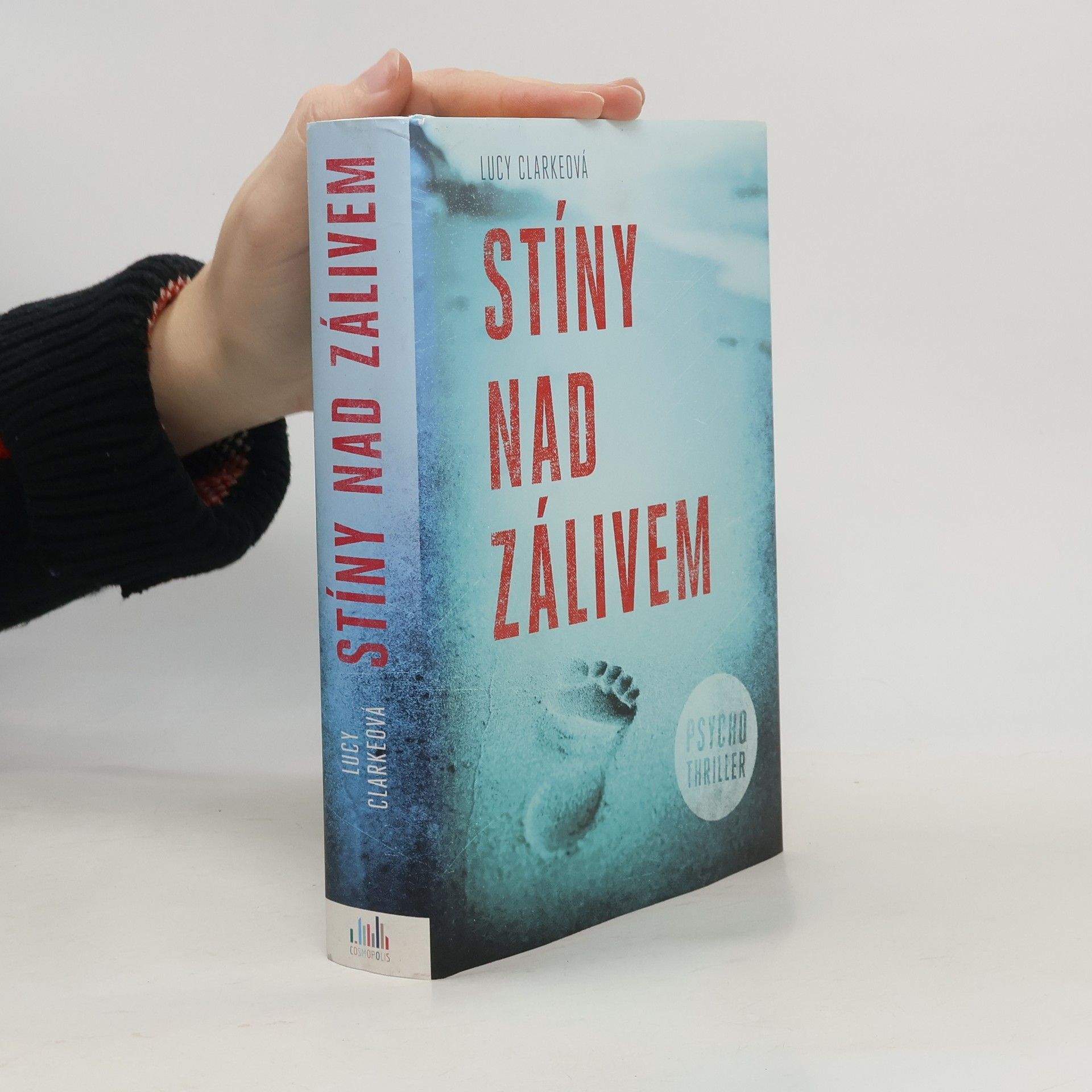 Lucy Clarke Stíny nad zálivem