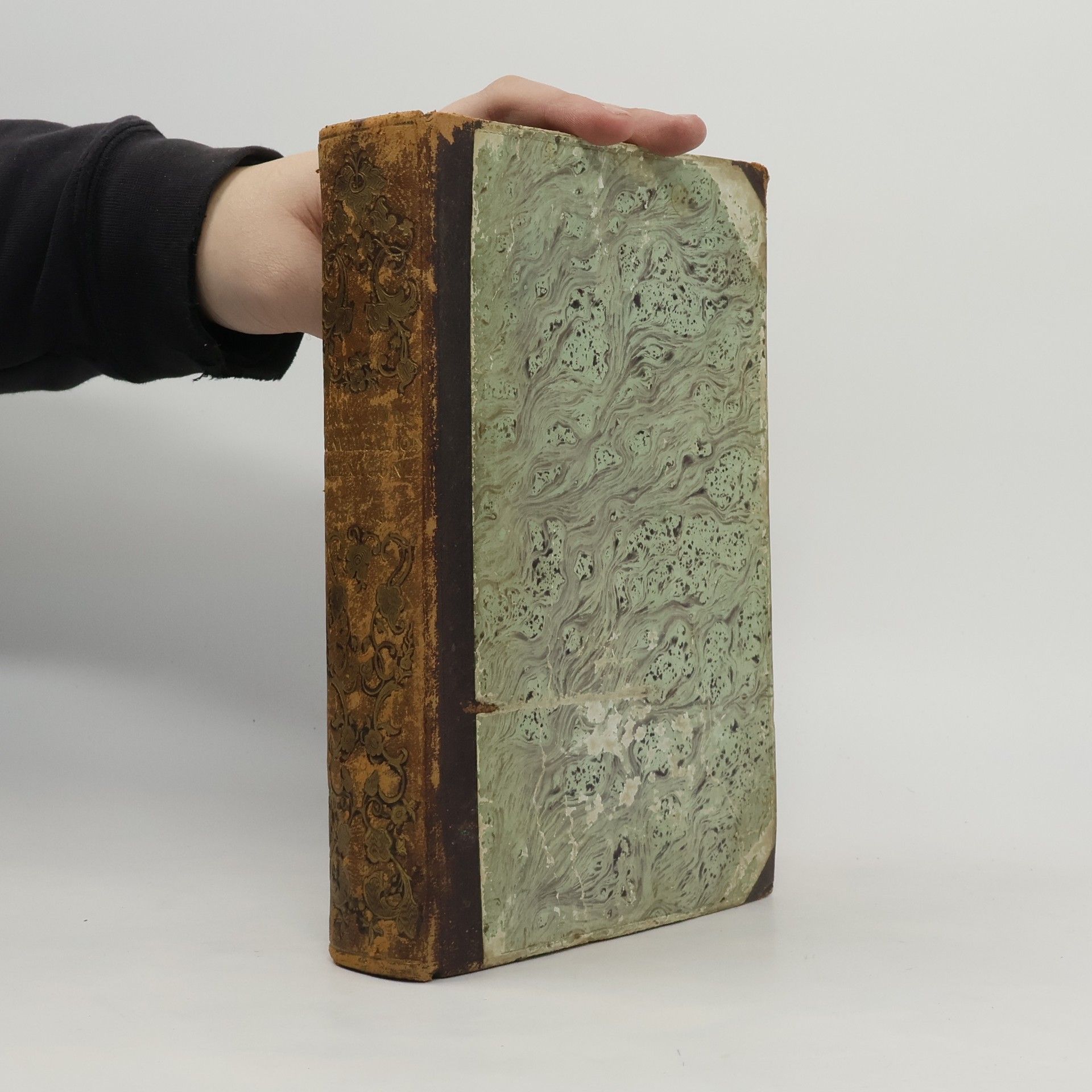 Friedrich Steger Ergänzungs-Conversationslexikon 4