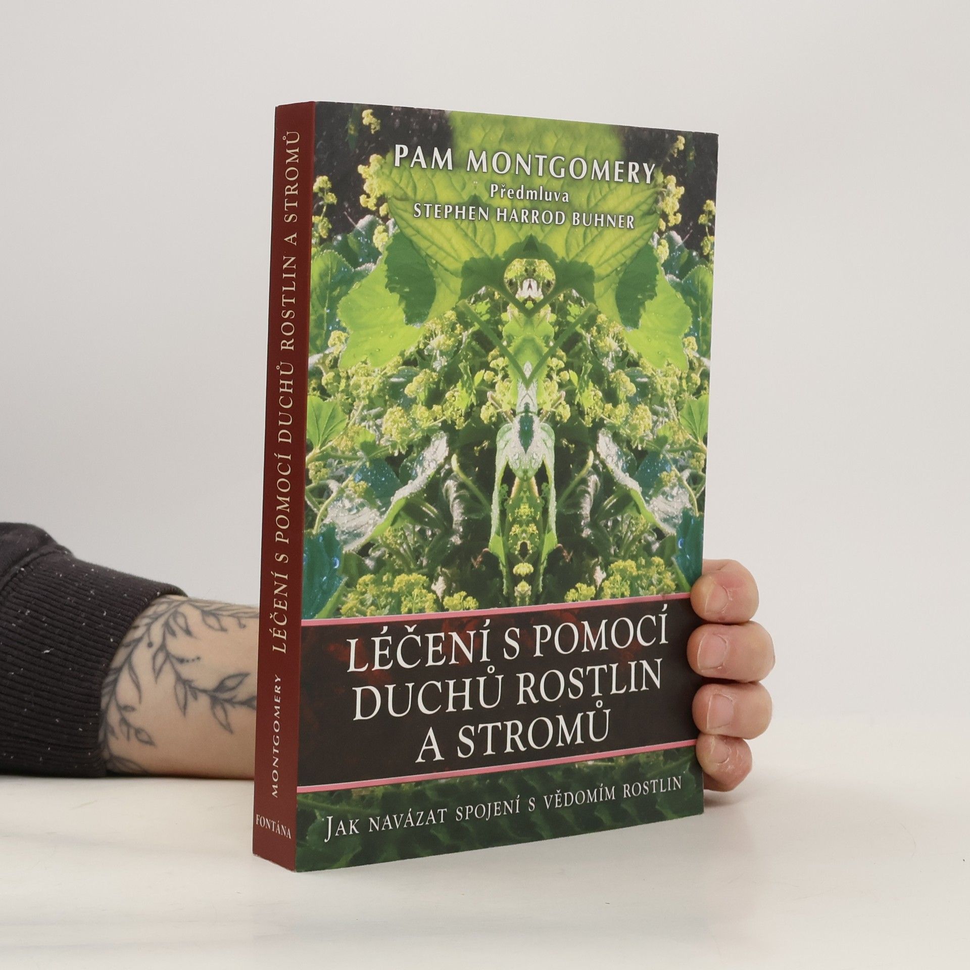 Pam Montgomery Léčení s pomocí duchů rostlin a stromů : jak navázat spojení s vědomím rostlin a stromů